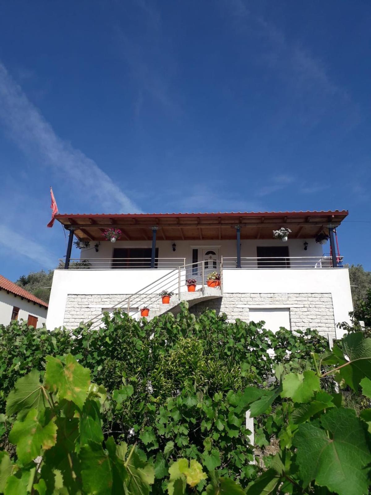 Villa Rexho