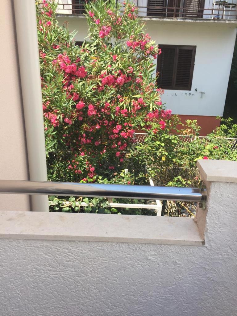 Apartmani Padrov