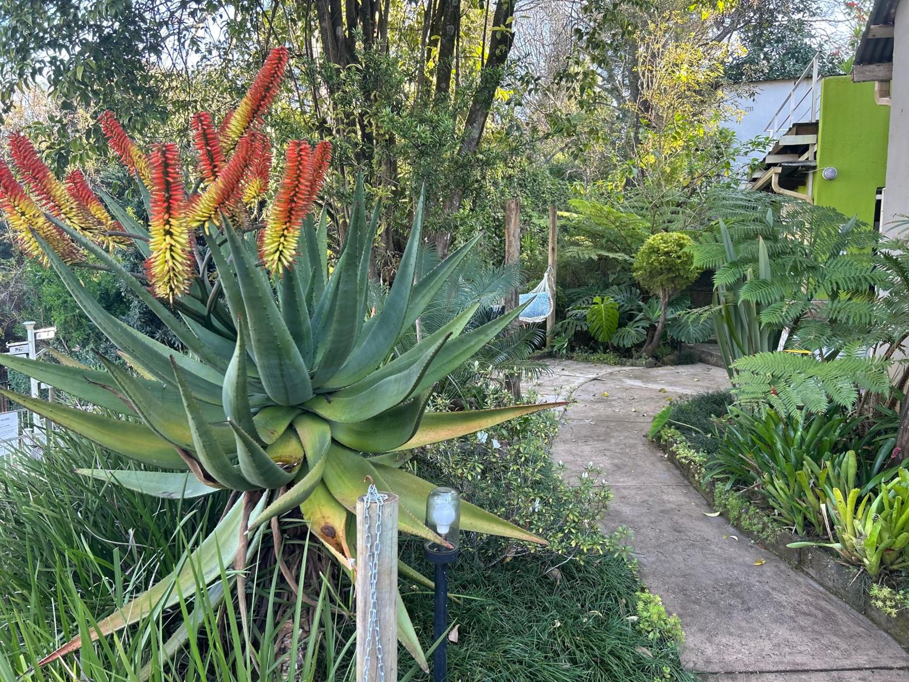 Sabie Self Catering Apartments