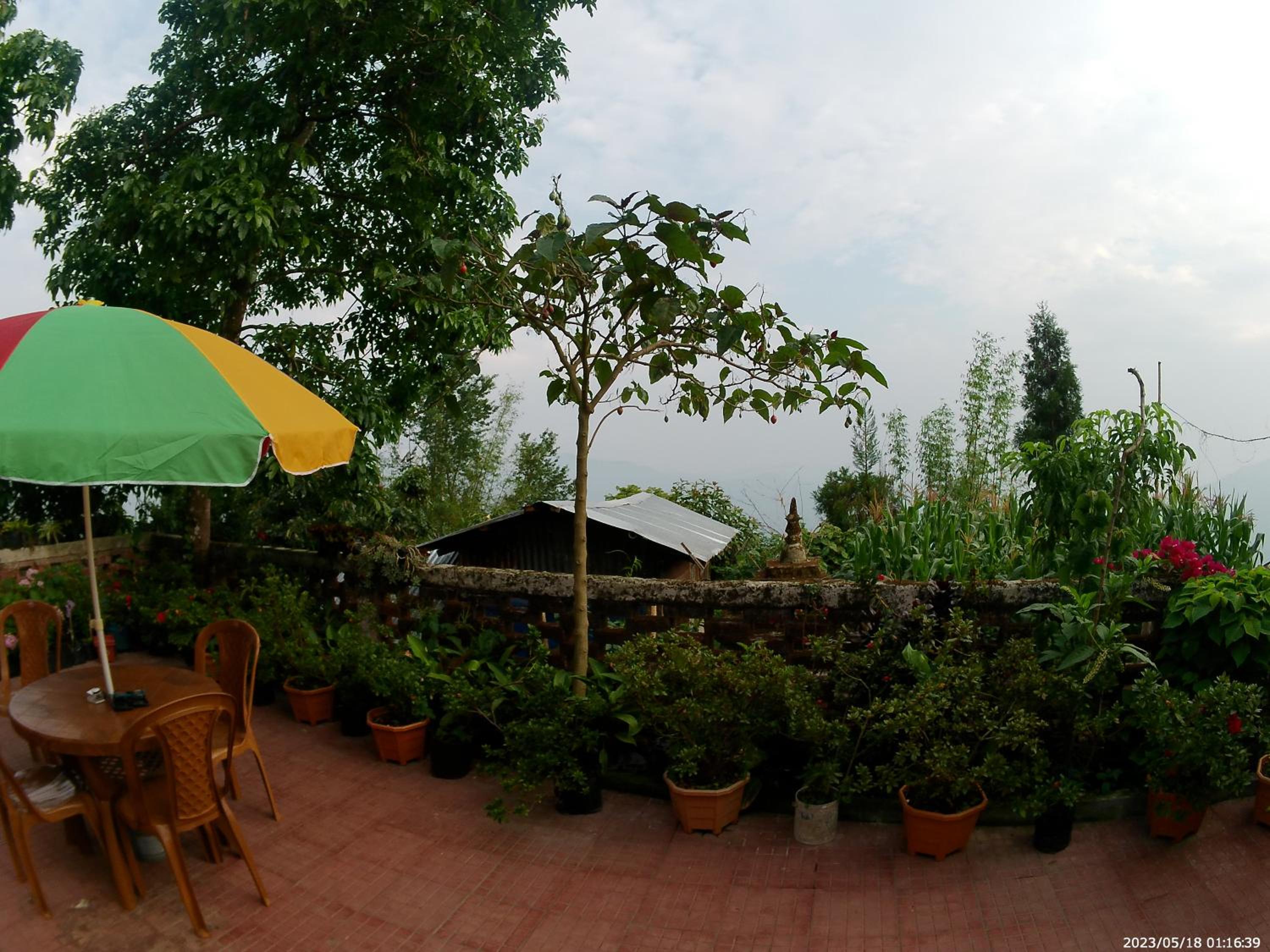 Bethel homestay Delo