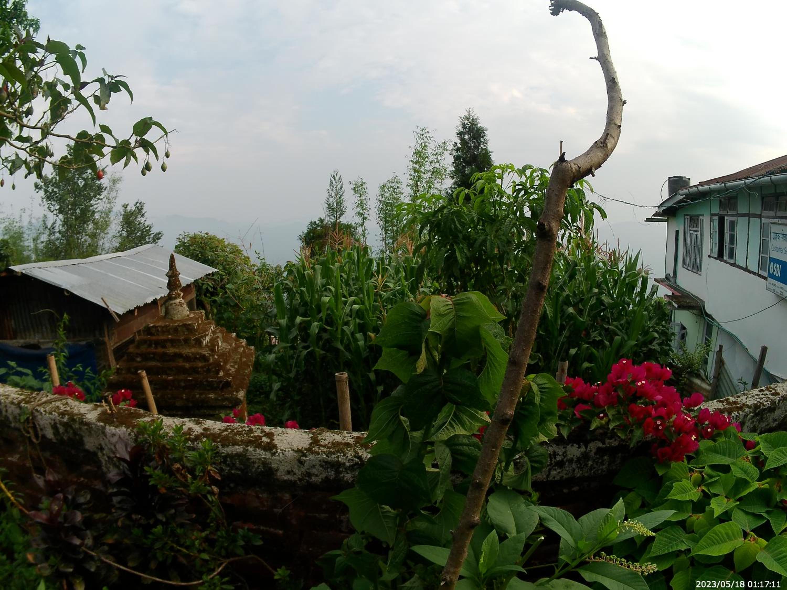 Bethel homestay Delo