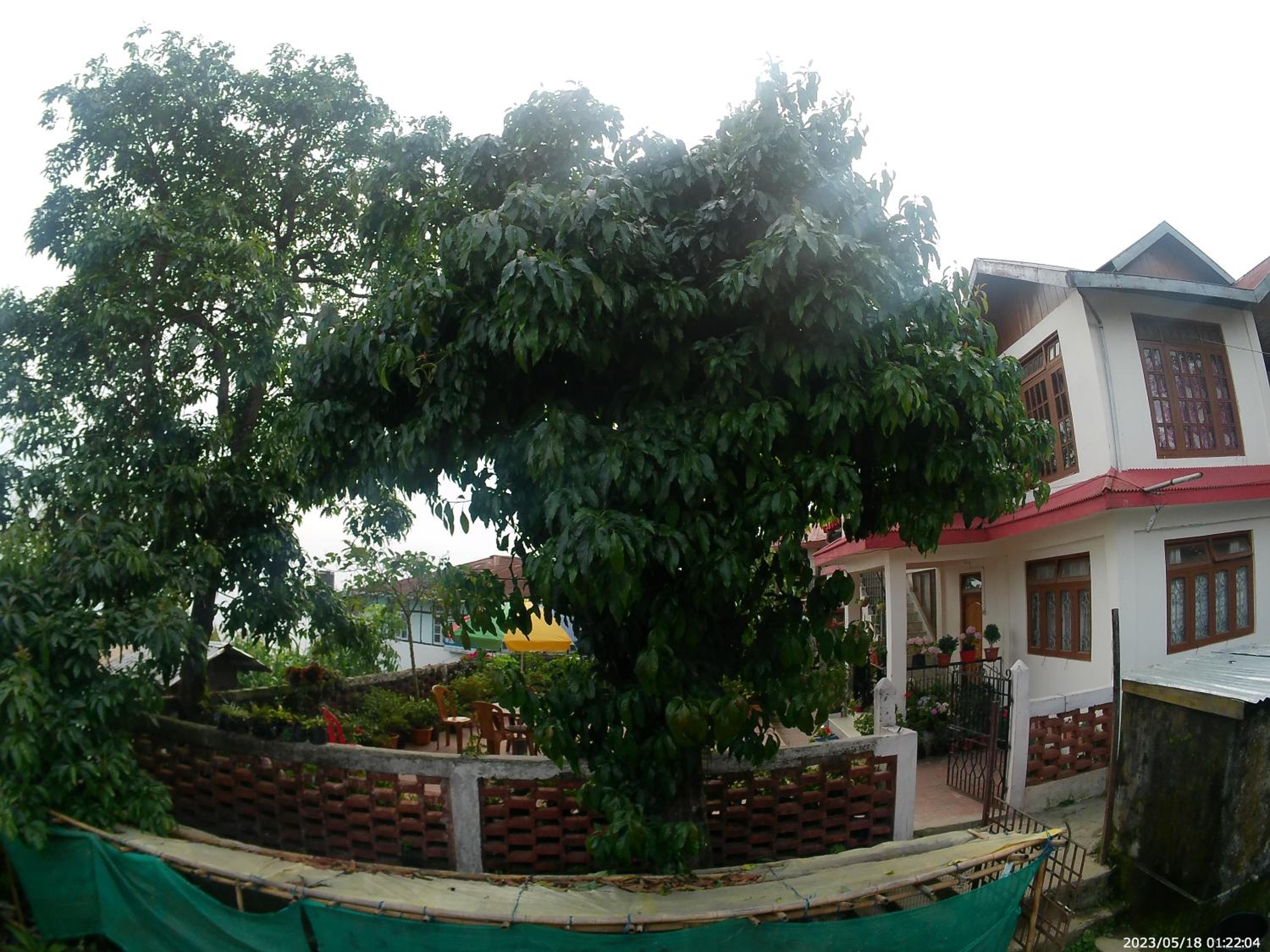 Bethel homestay Delo