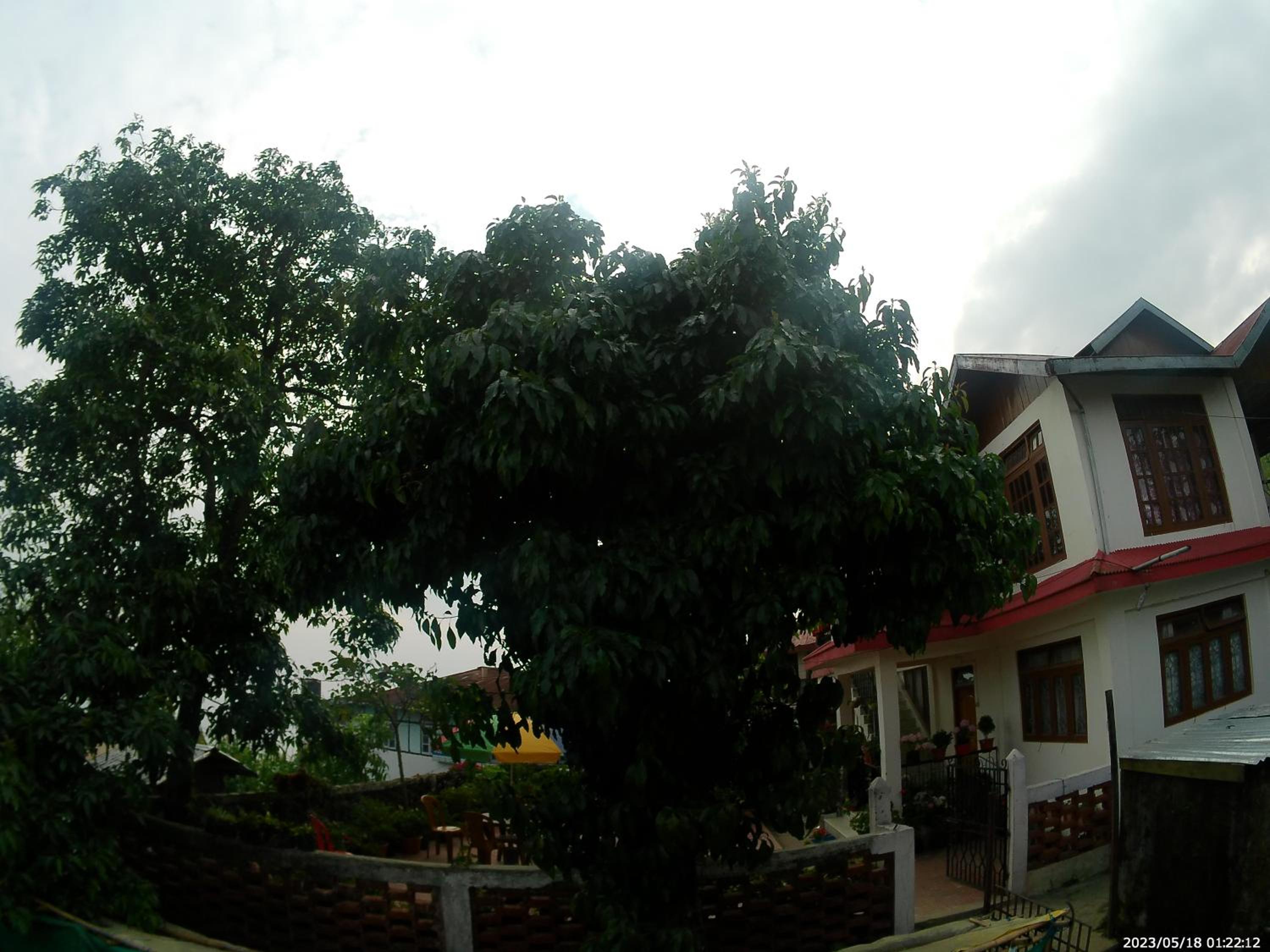 Bethel homestay Delo