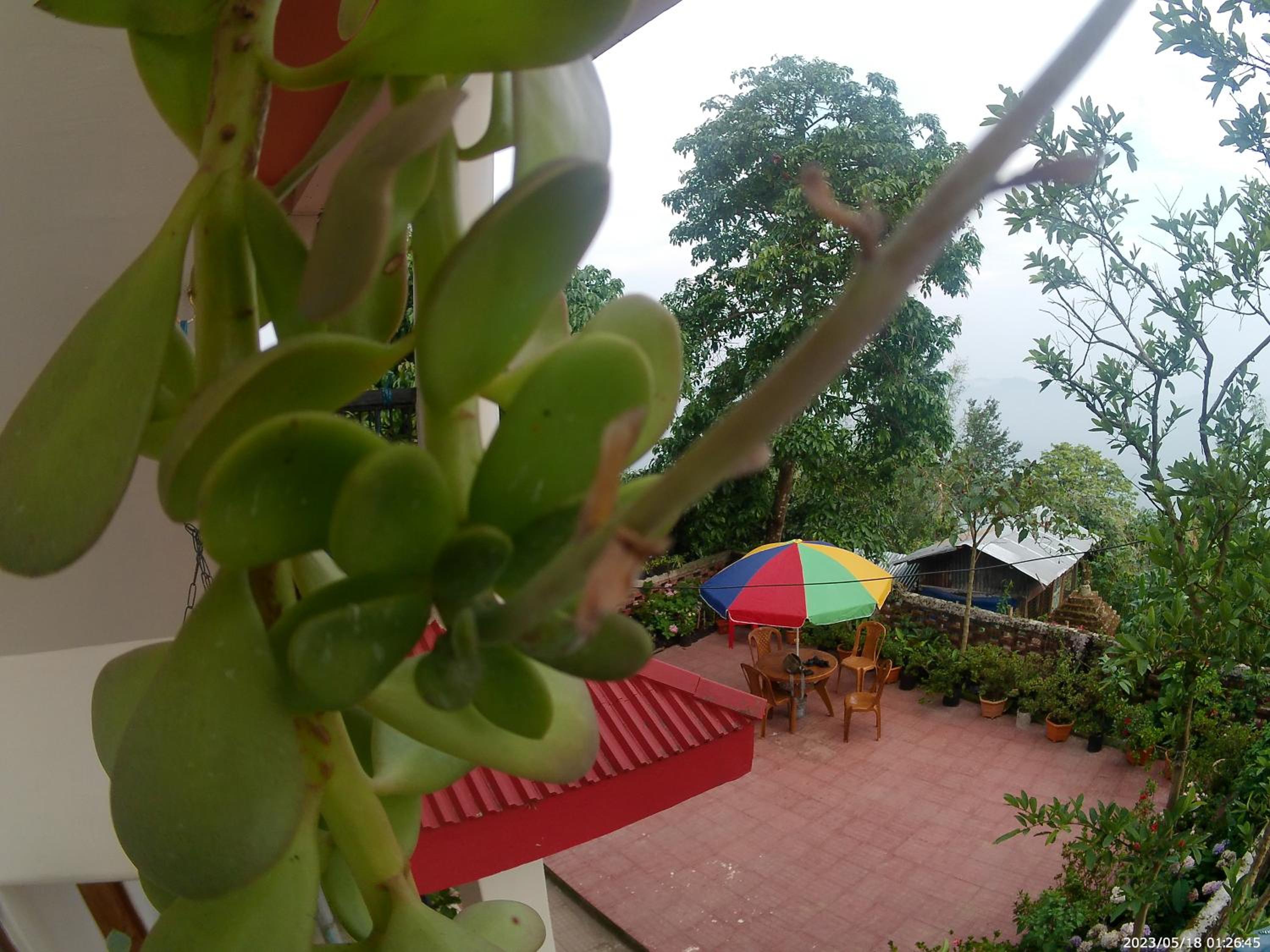 Bethel homestay Delo