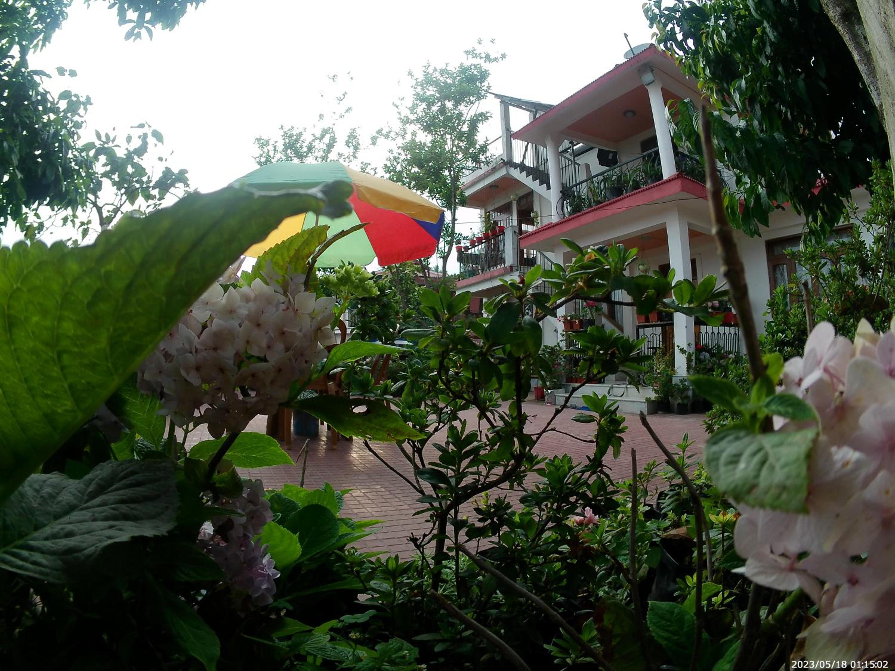 Bethel homestay Delo