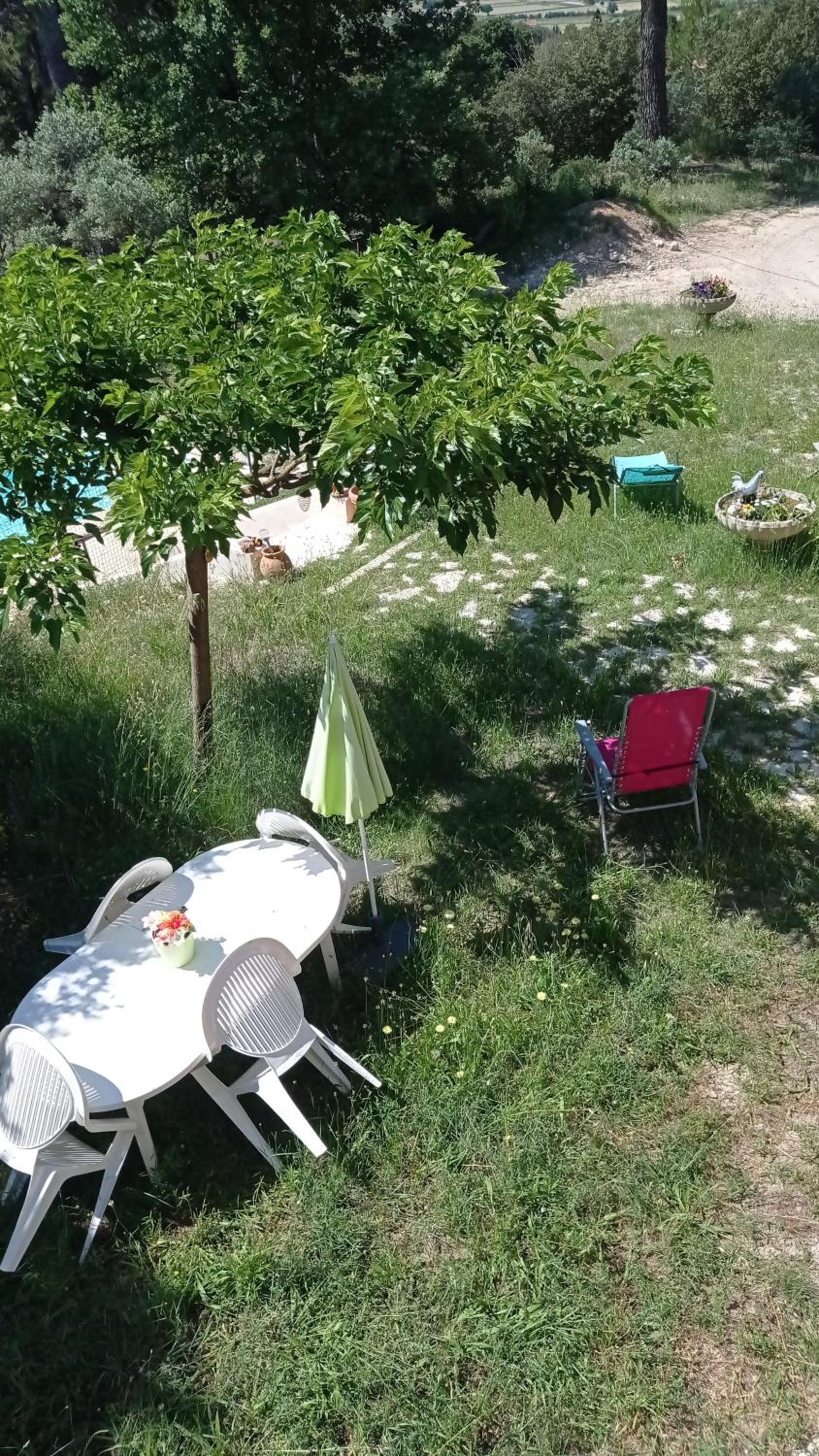 Photo 39