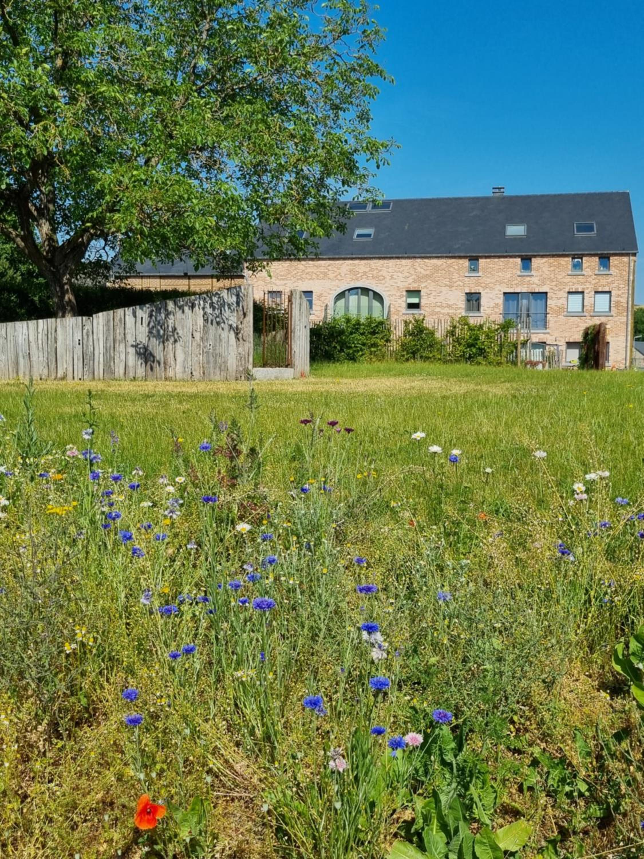 Cerf, ouvre-moi B&B