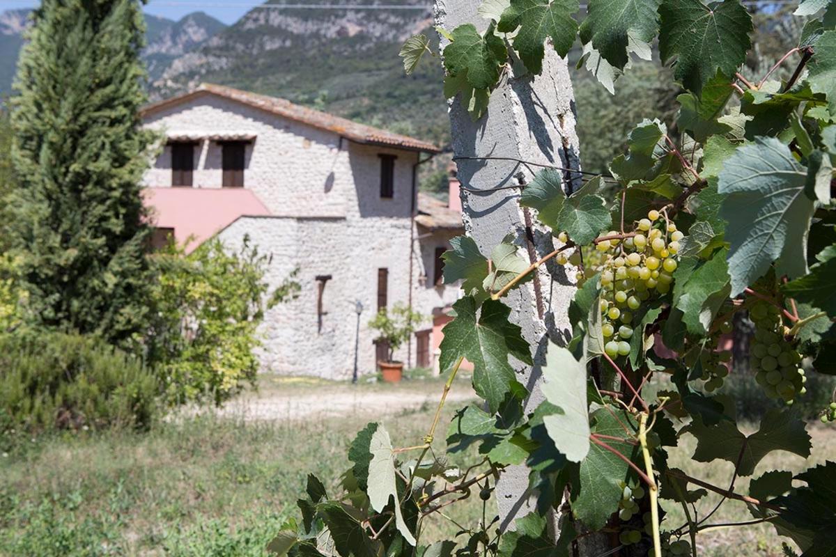 Agriturismo I Melograni - Property Image 30