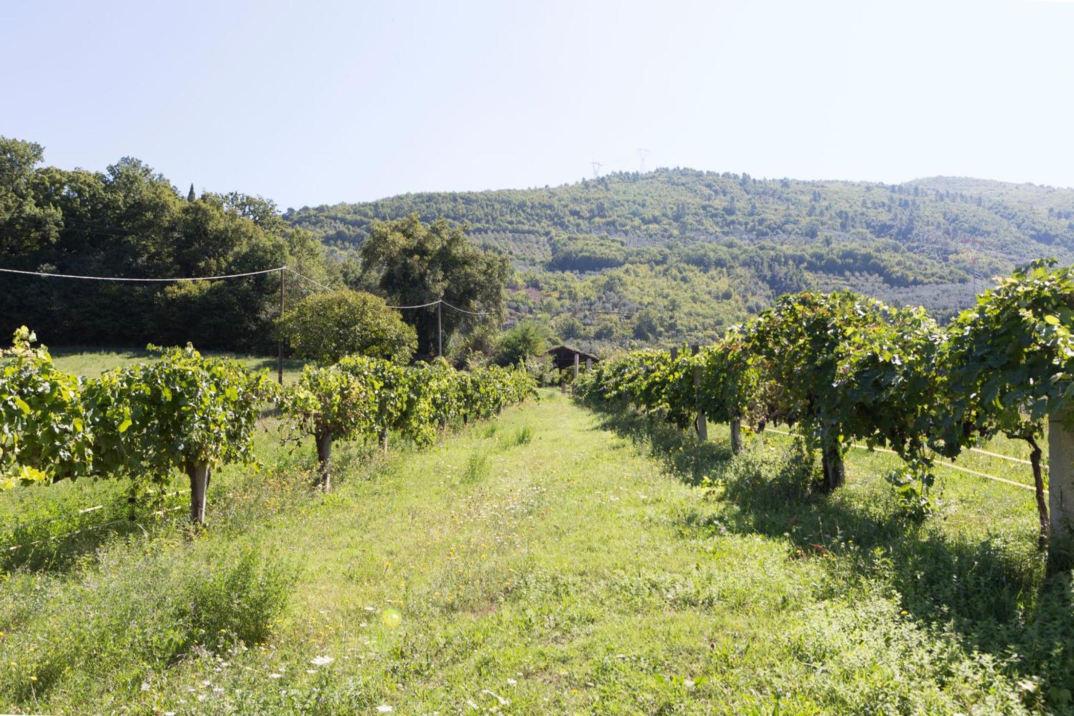 Agriturismo I Melograni - Property Image 16