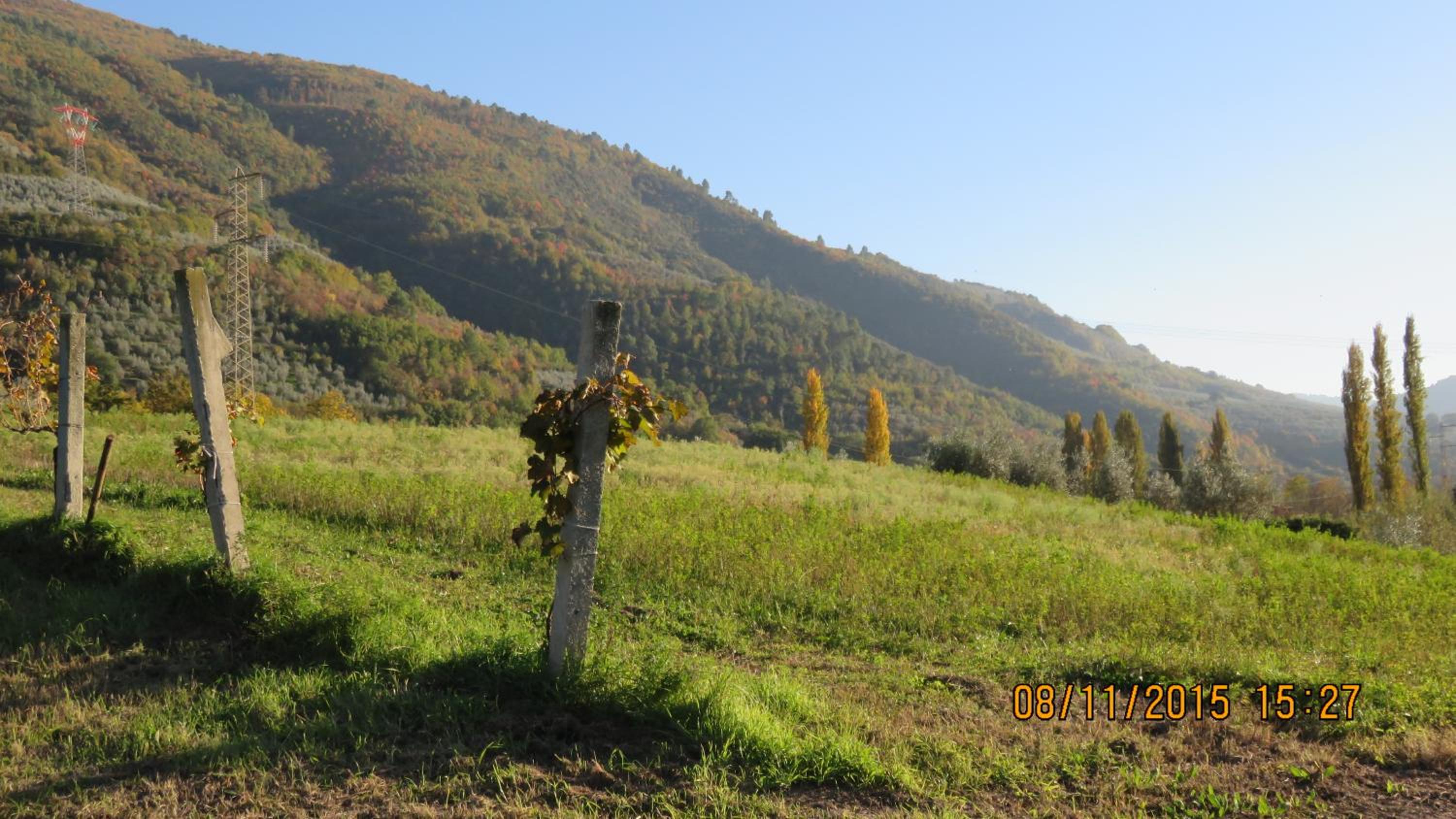 Agriturismo I Melograni - Property Image 15