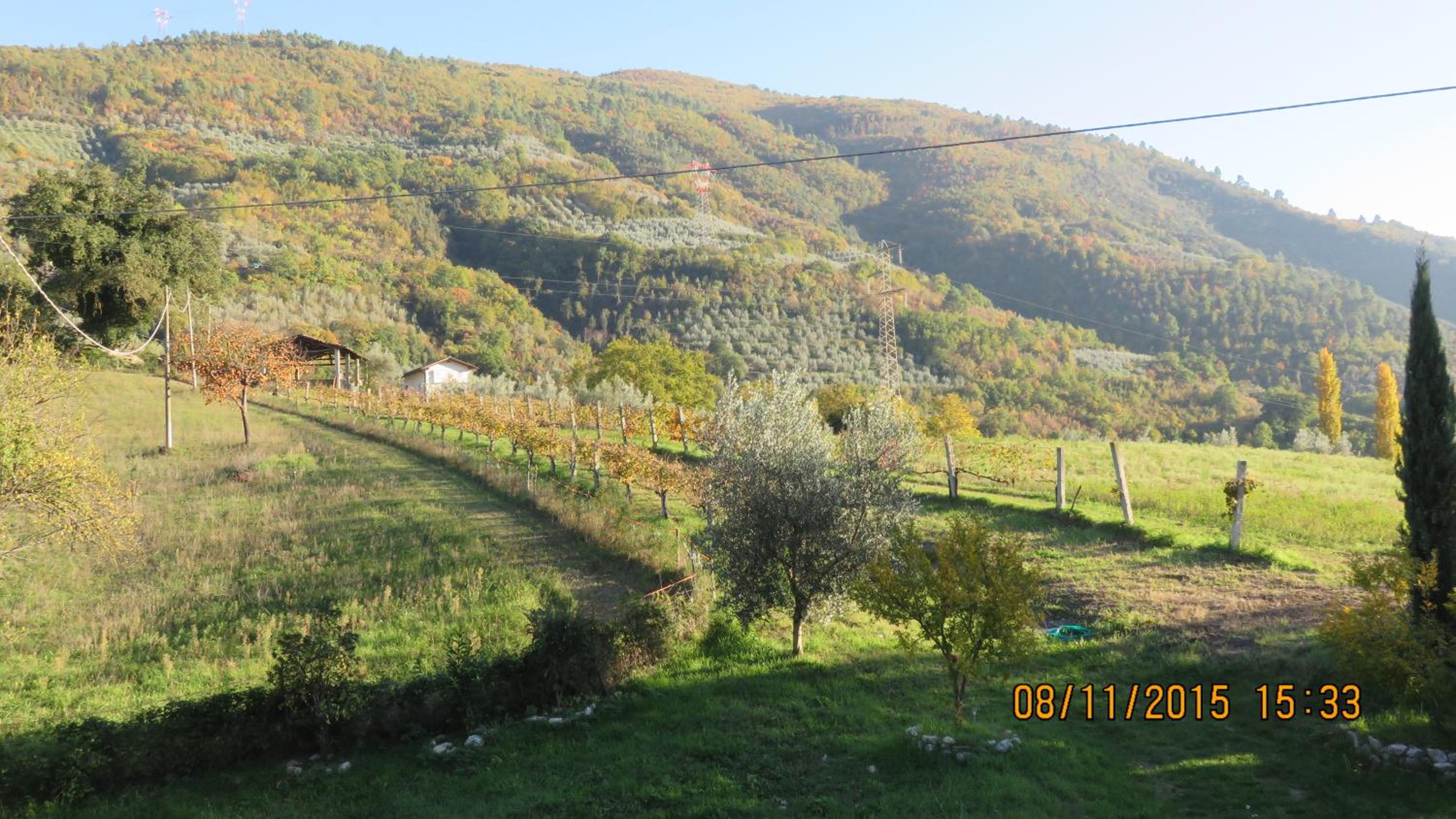 Agriturismo I Melograni - Property Image 13