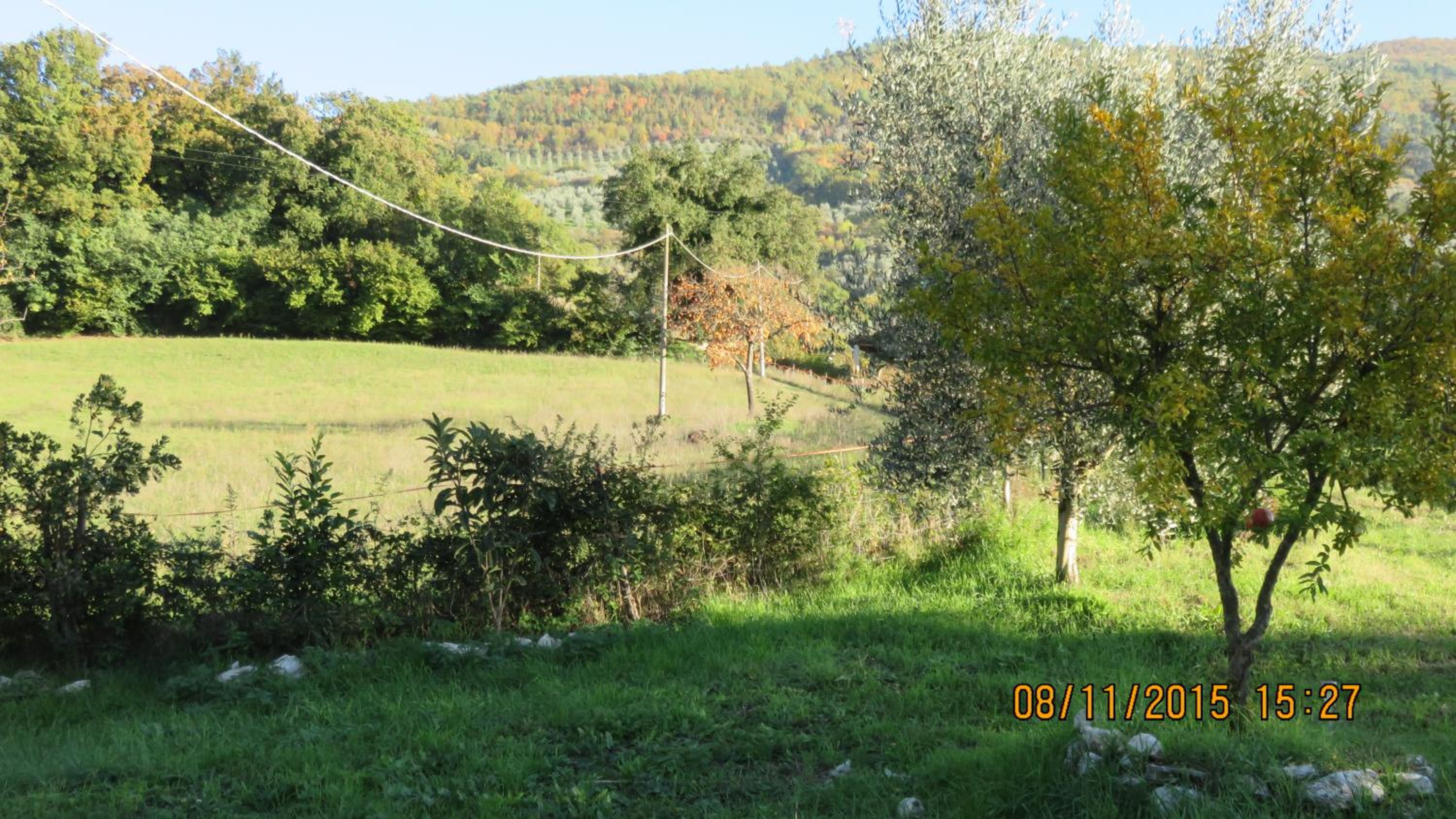 Agriturismo I Melograni - Property Image 14