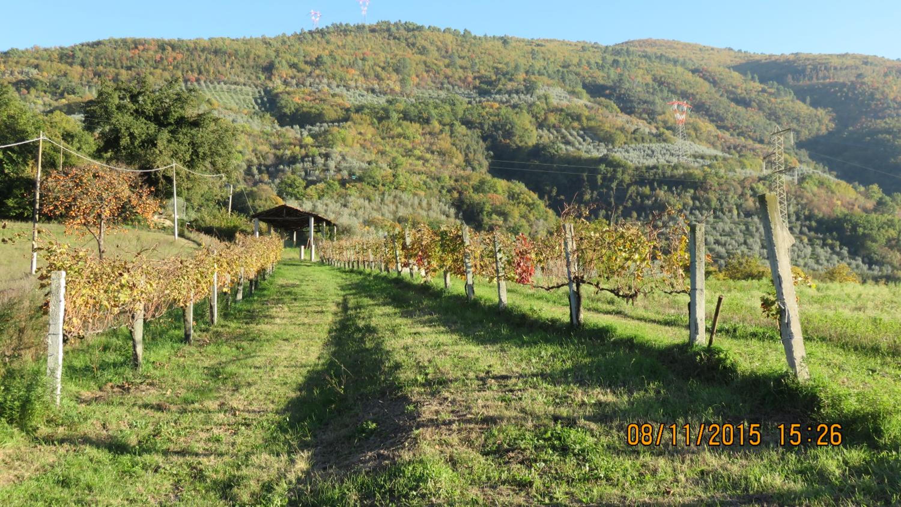 Agriturismo I Melograni - Property Image 17