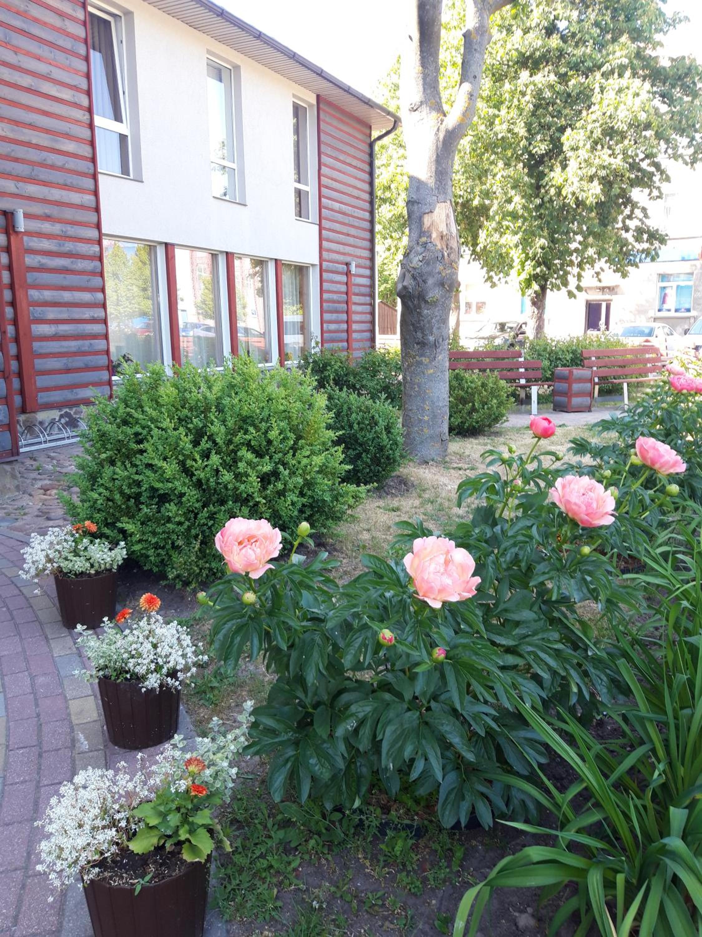 Photo 19