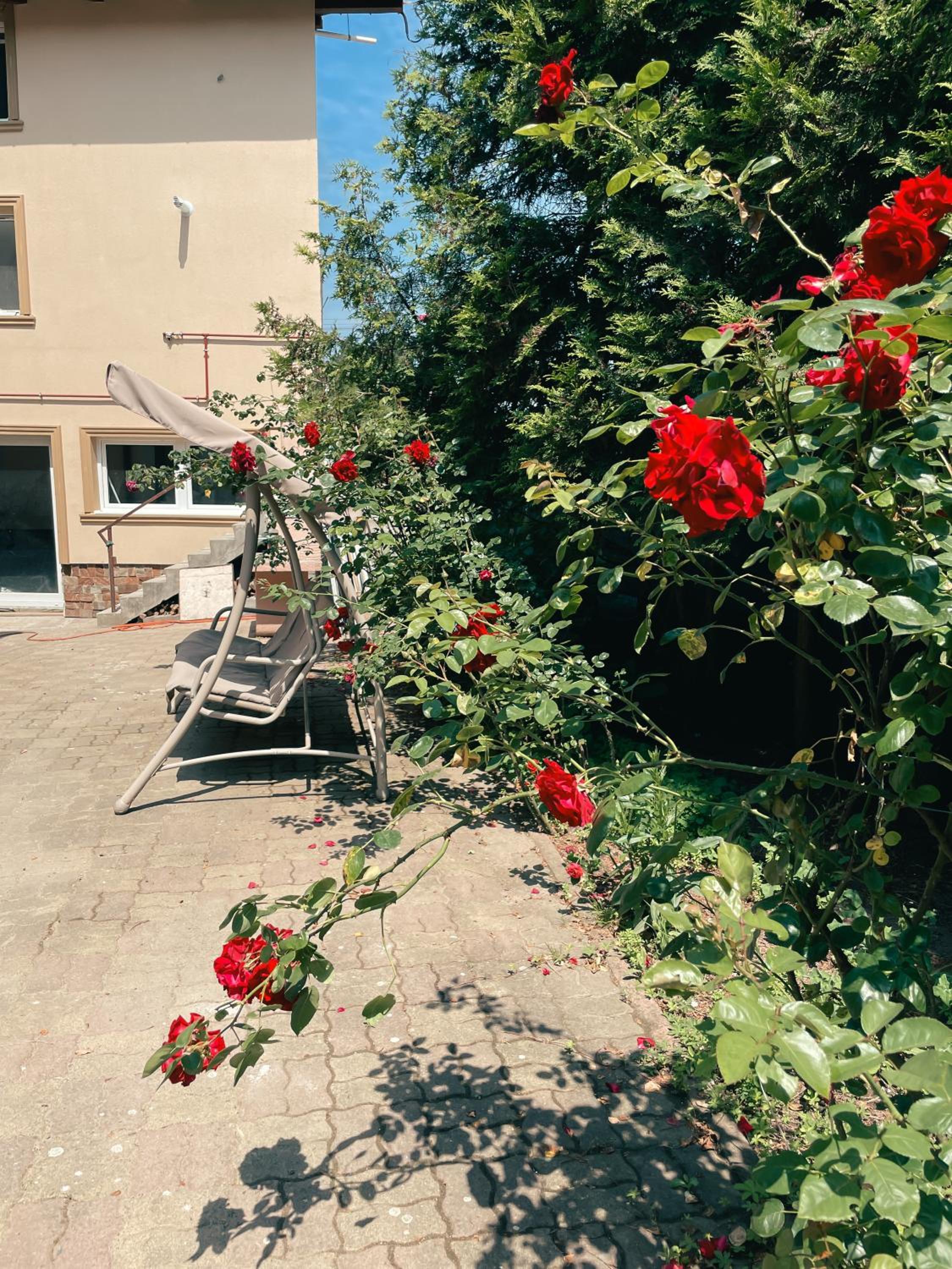 Cozy Glen - Private Villa, Parking and BBQ, photo 19