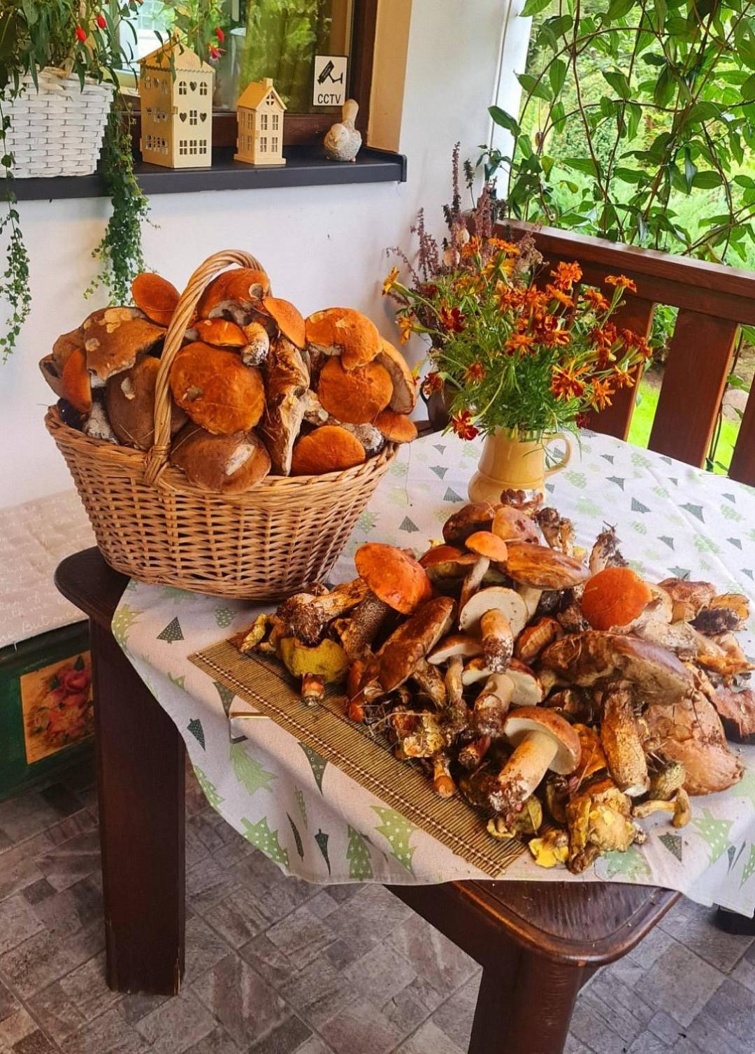 Chaloupky U Matušků
