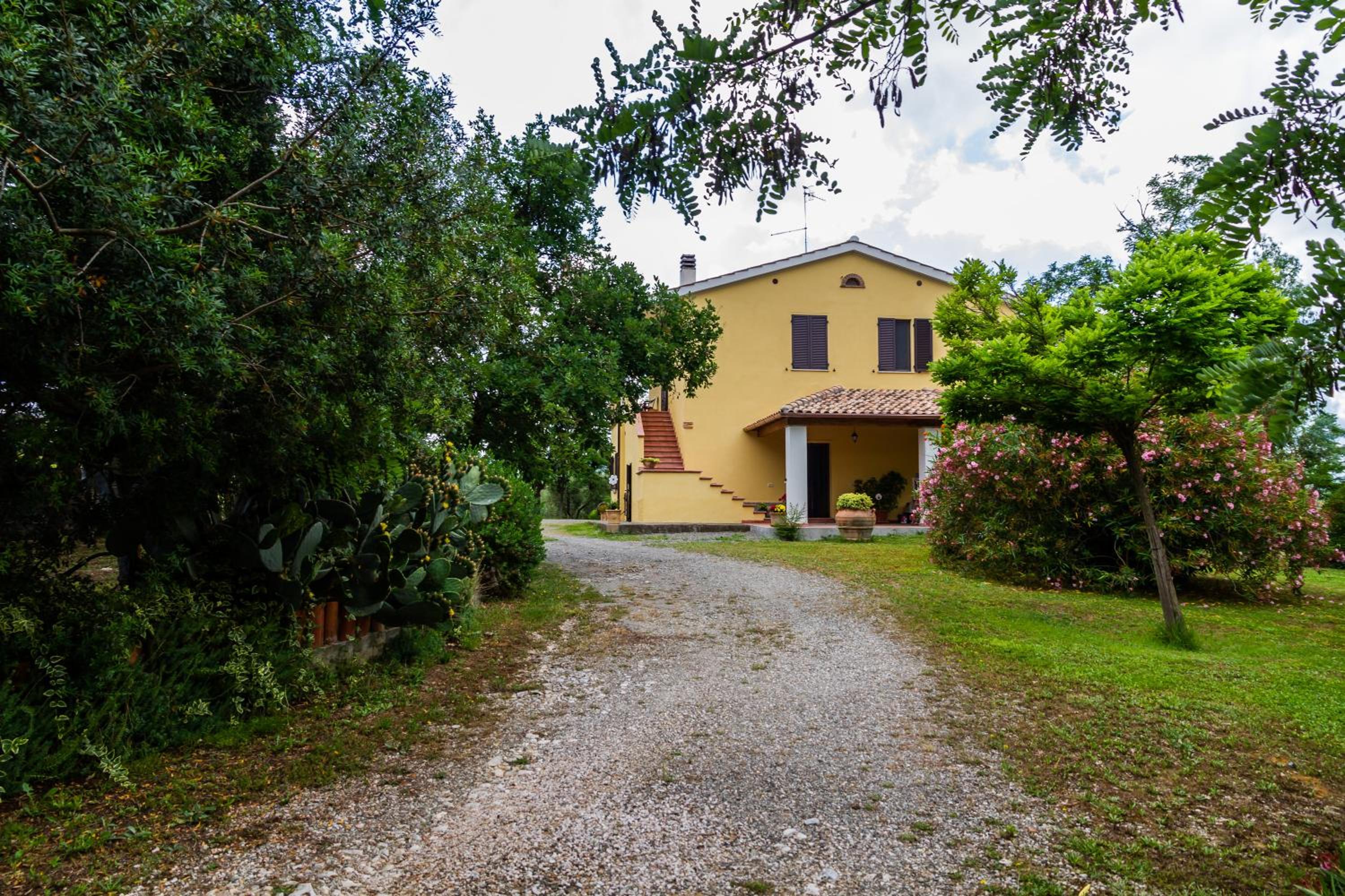 Limone - Agriturismo La Fattoria