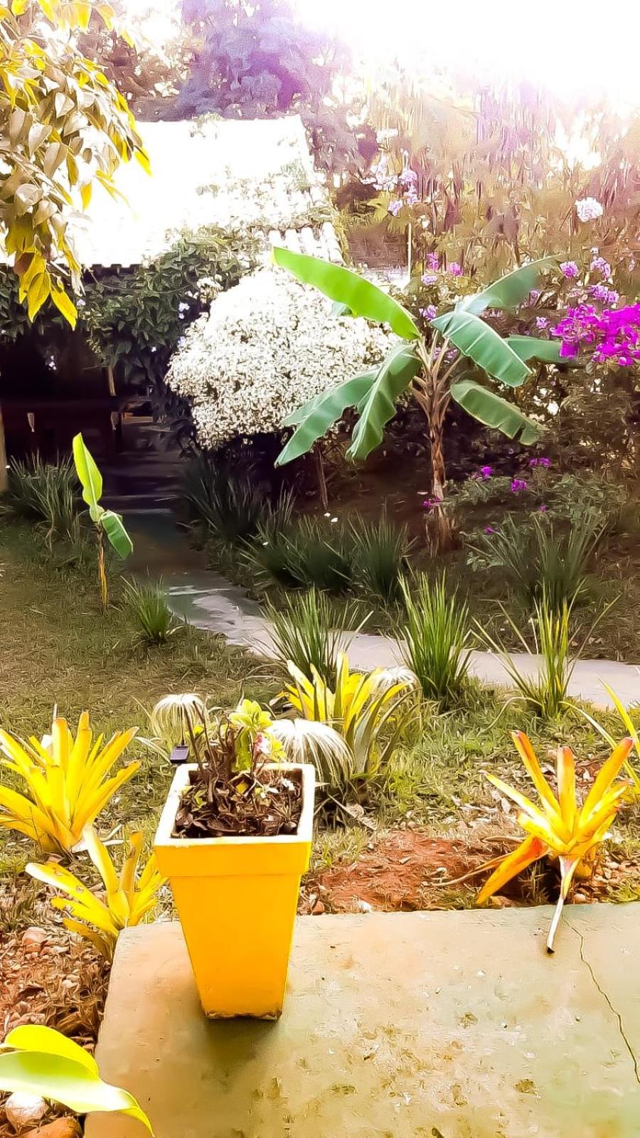 Biomas Hotel