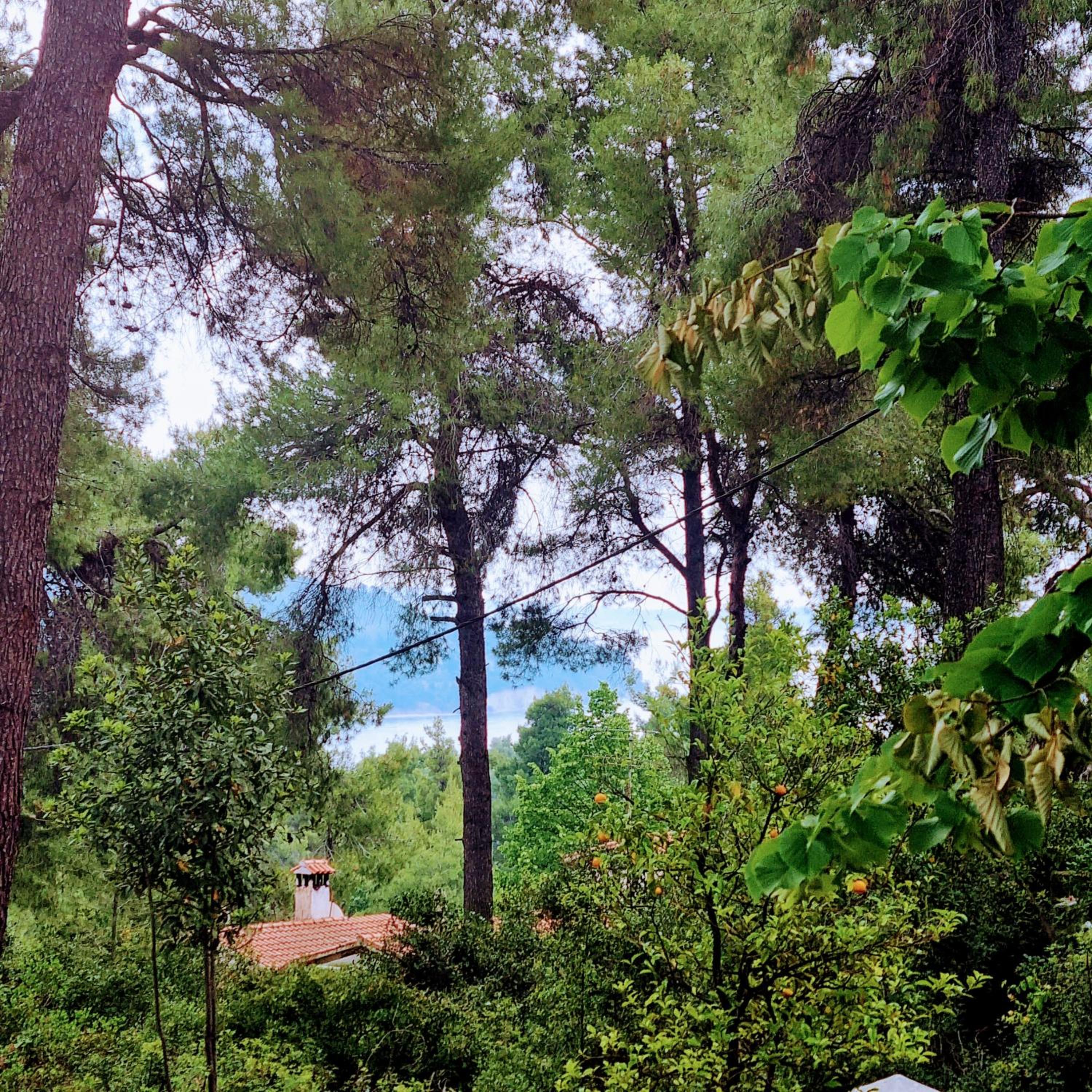 Villa Nefeli