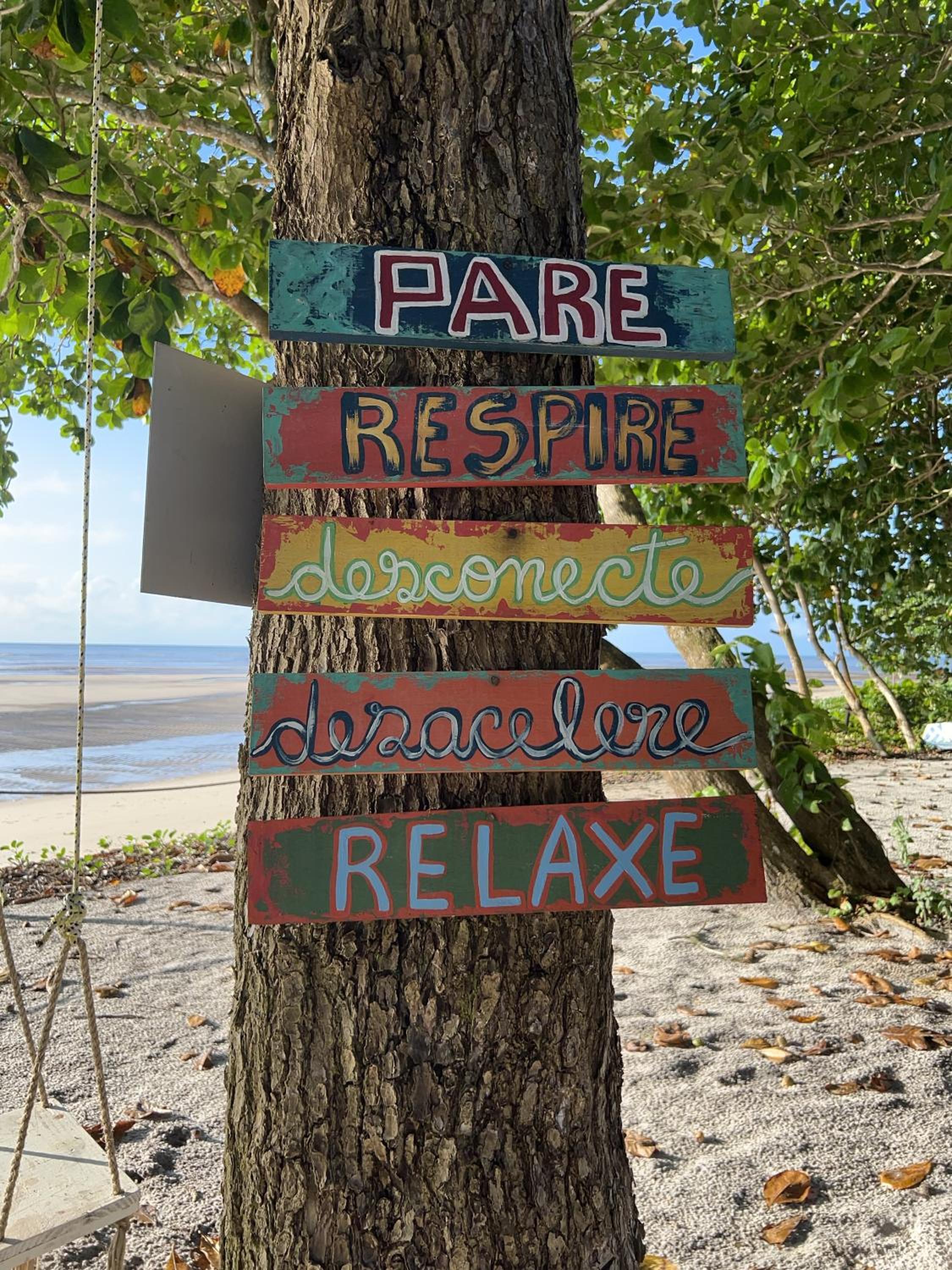 Cumuru pé na areia
