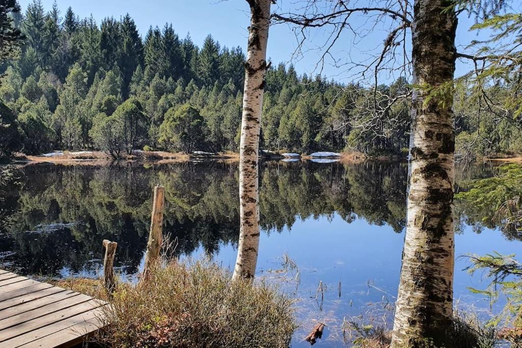 Black Forest Schwarzwaldliebe Pool Sauna Tennis Tischtennis Wifi Prime Tv Natur
