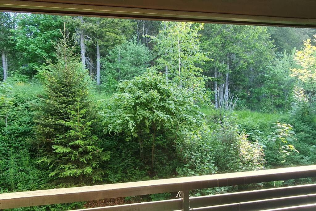 Black Forest Schwarzwaldliebe Pool Sauna Tennis Tischtennis Wifi Prime Tv Natur