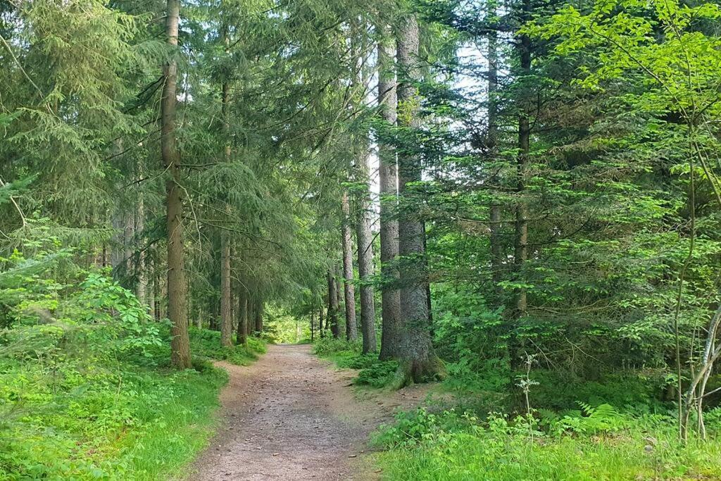 Black Forest Schwarzwaldliebe Pool Sauna Tennis Tischtennis Wifi Prime Tv Natur