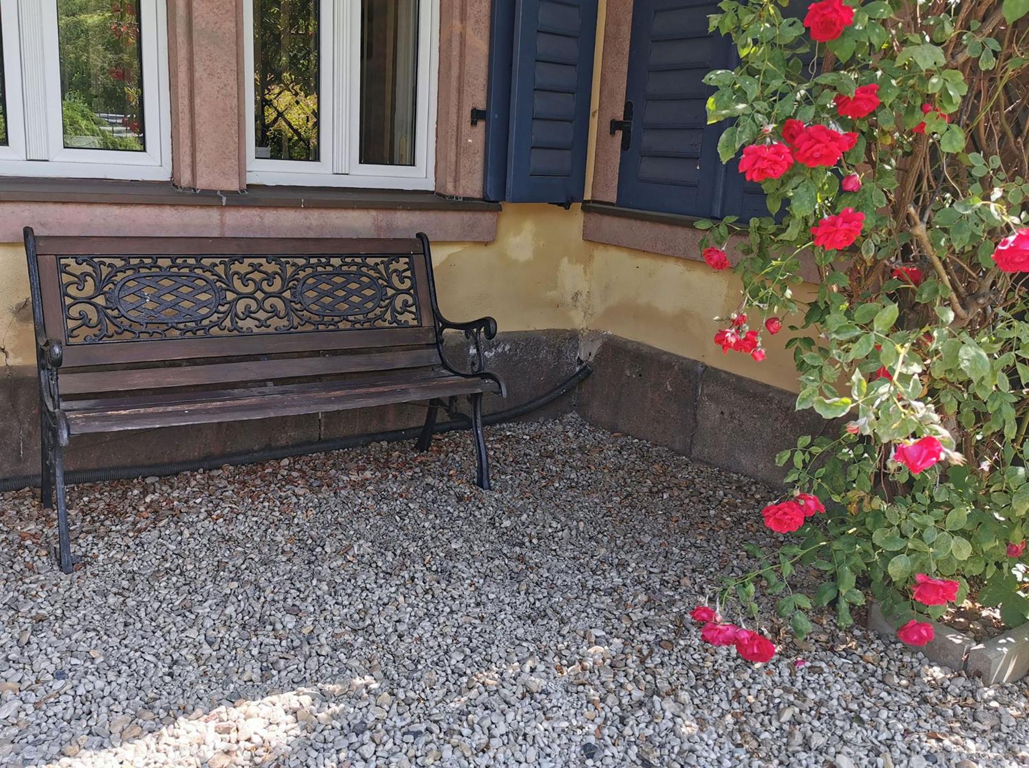 Apartment in Villa Rochlitz