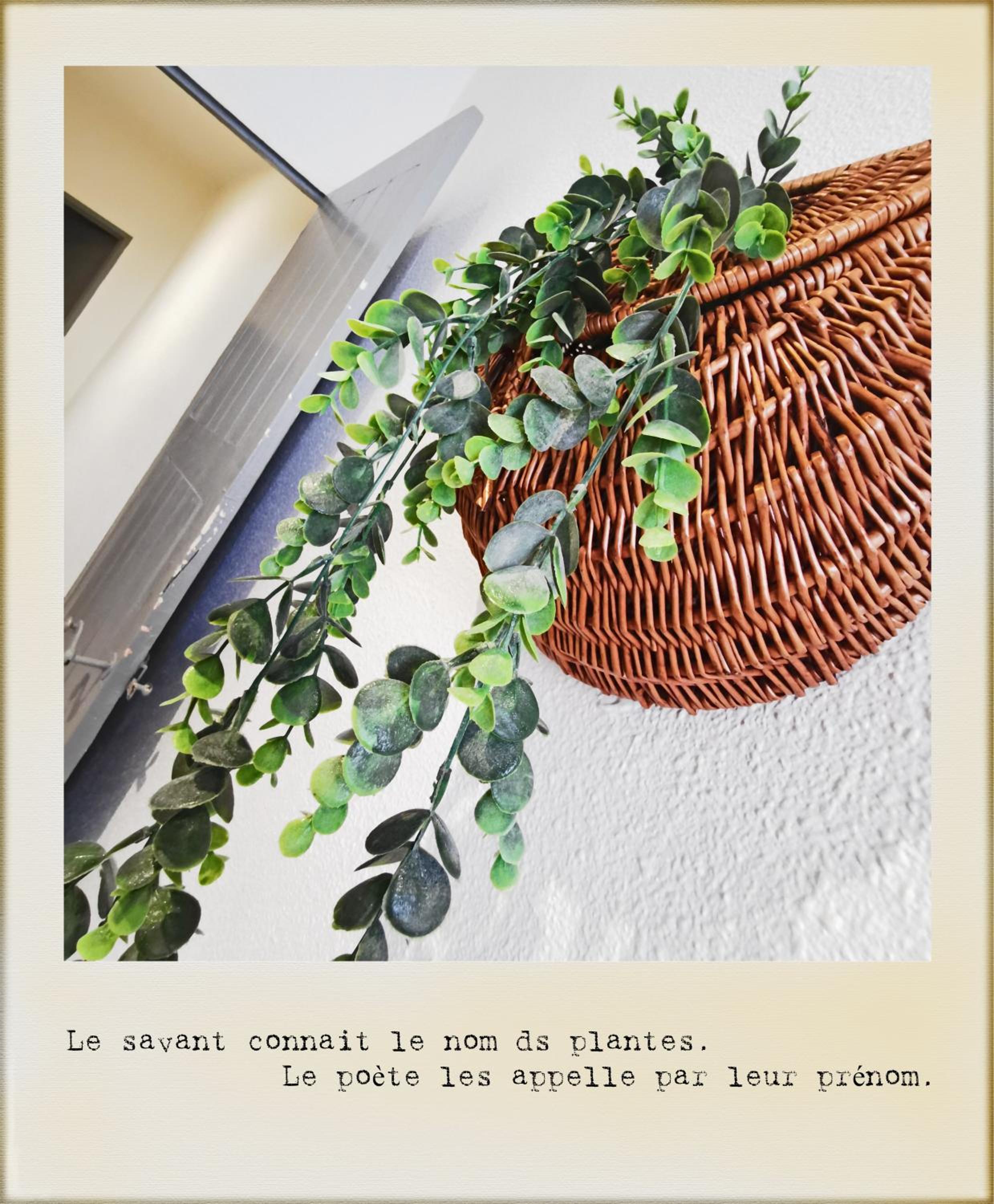 Sur les Pavés du Pont Vieux...
