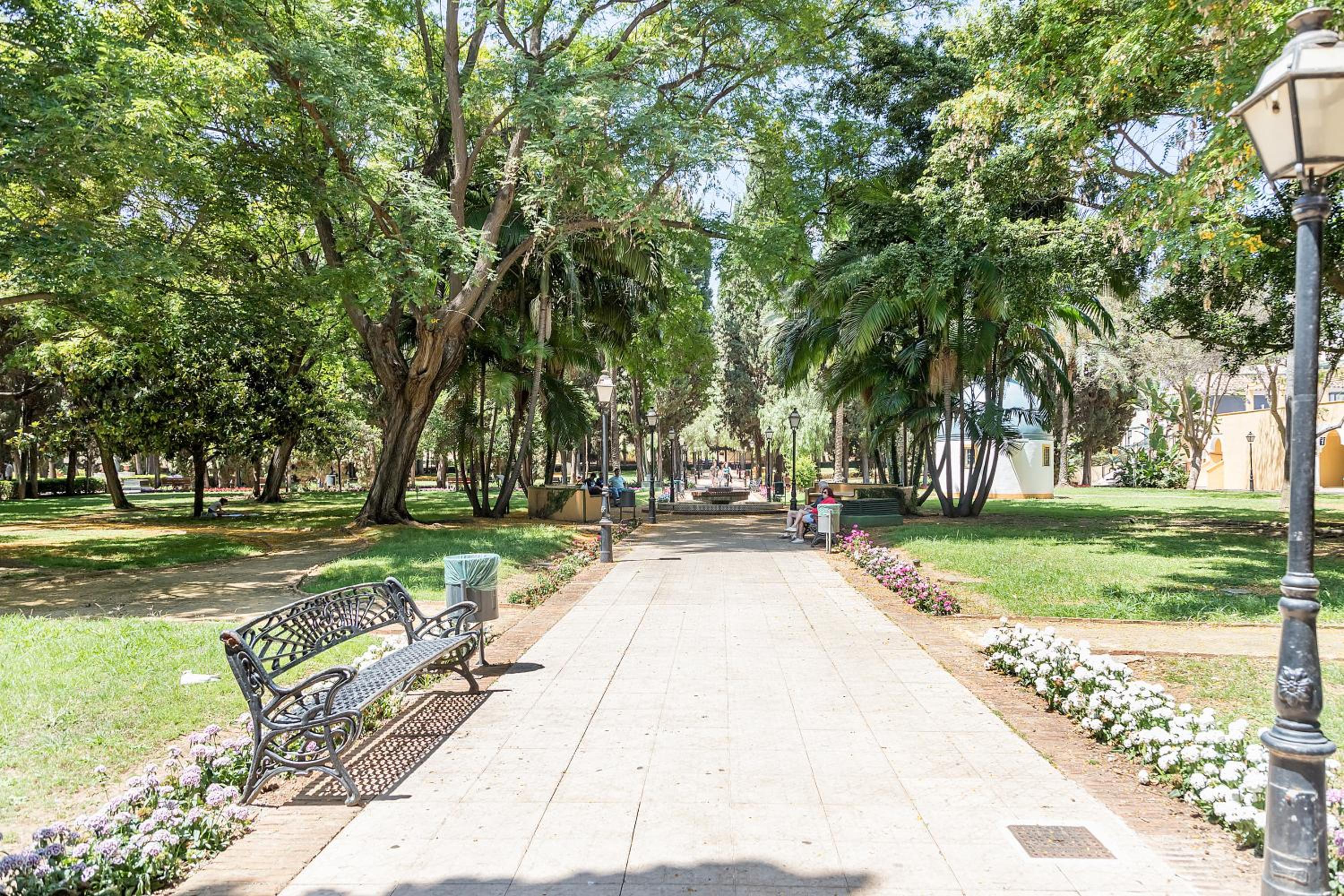 Marbella center Casals