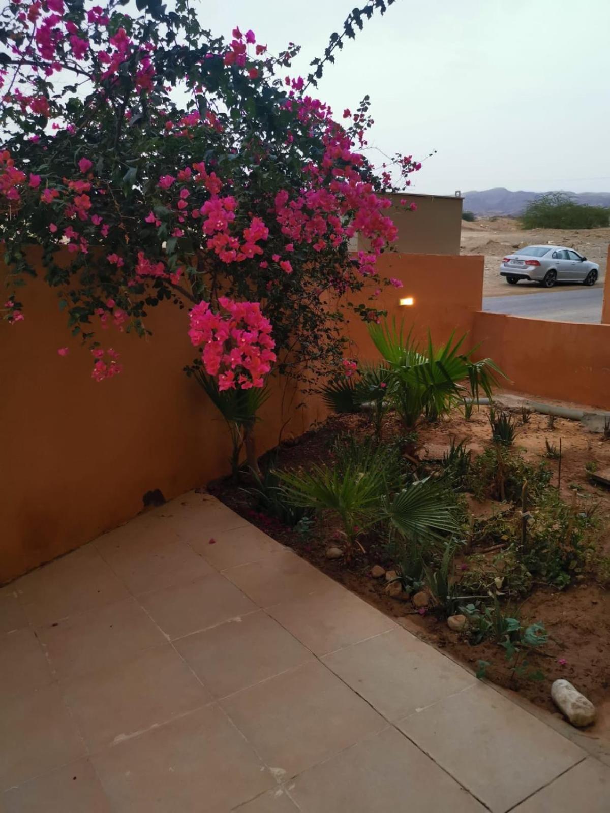 A wonderful stay at the Dead Sea view 3