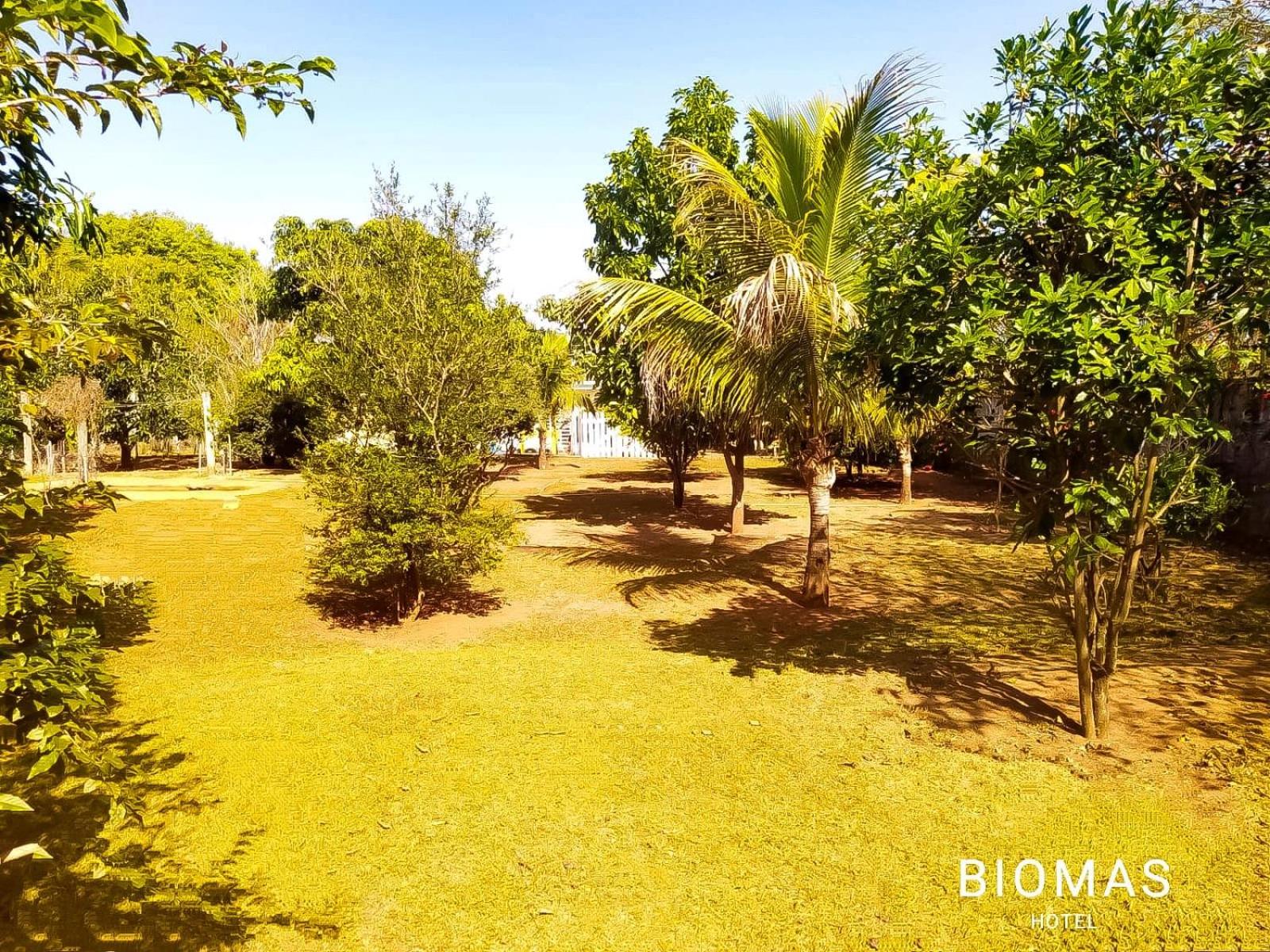 Biomas Hotel
