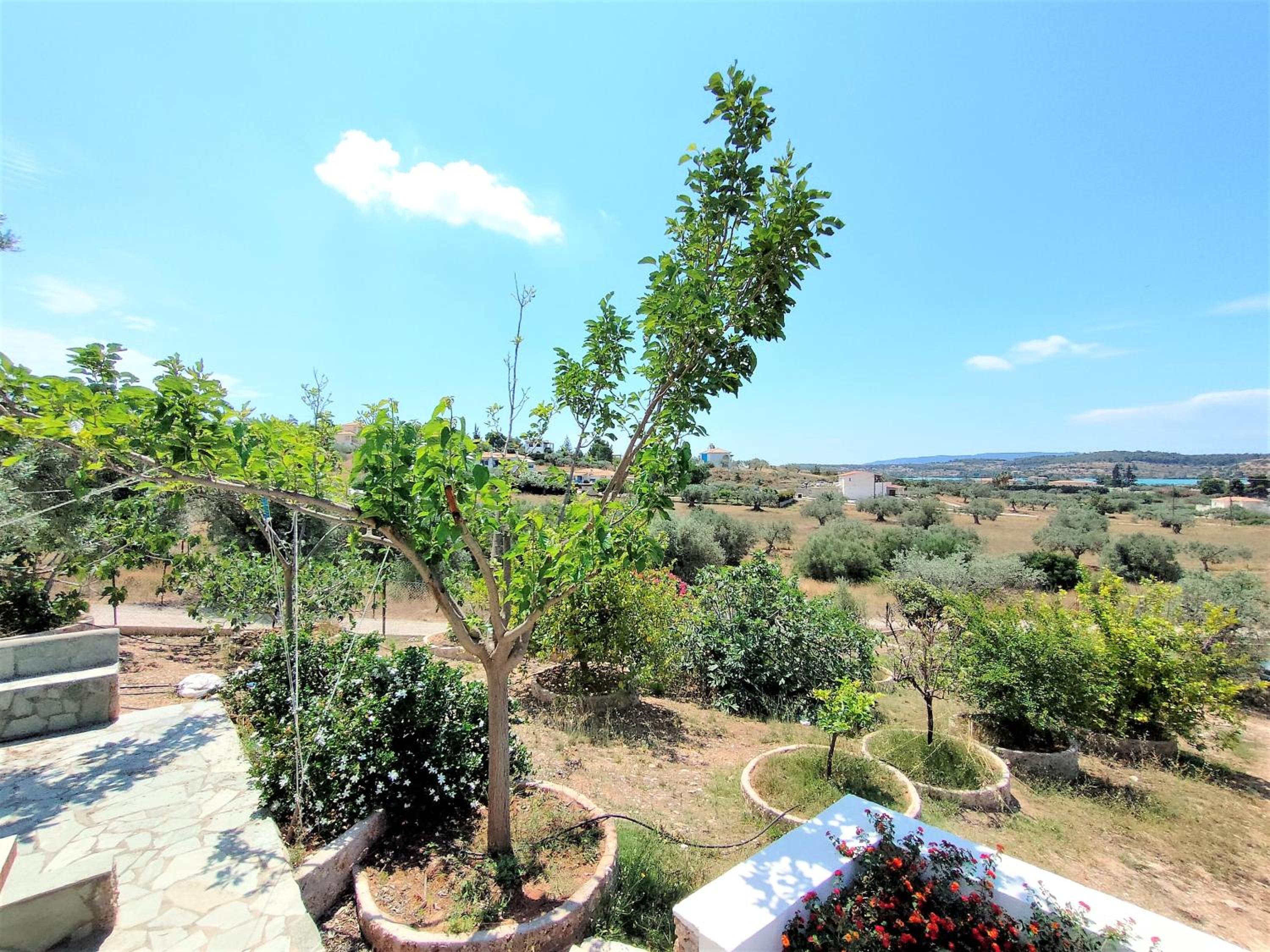 Casa Lagoo