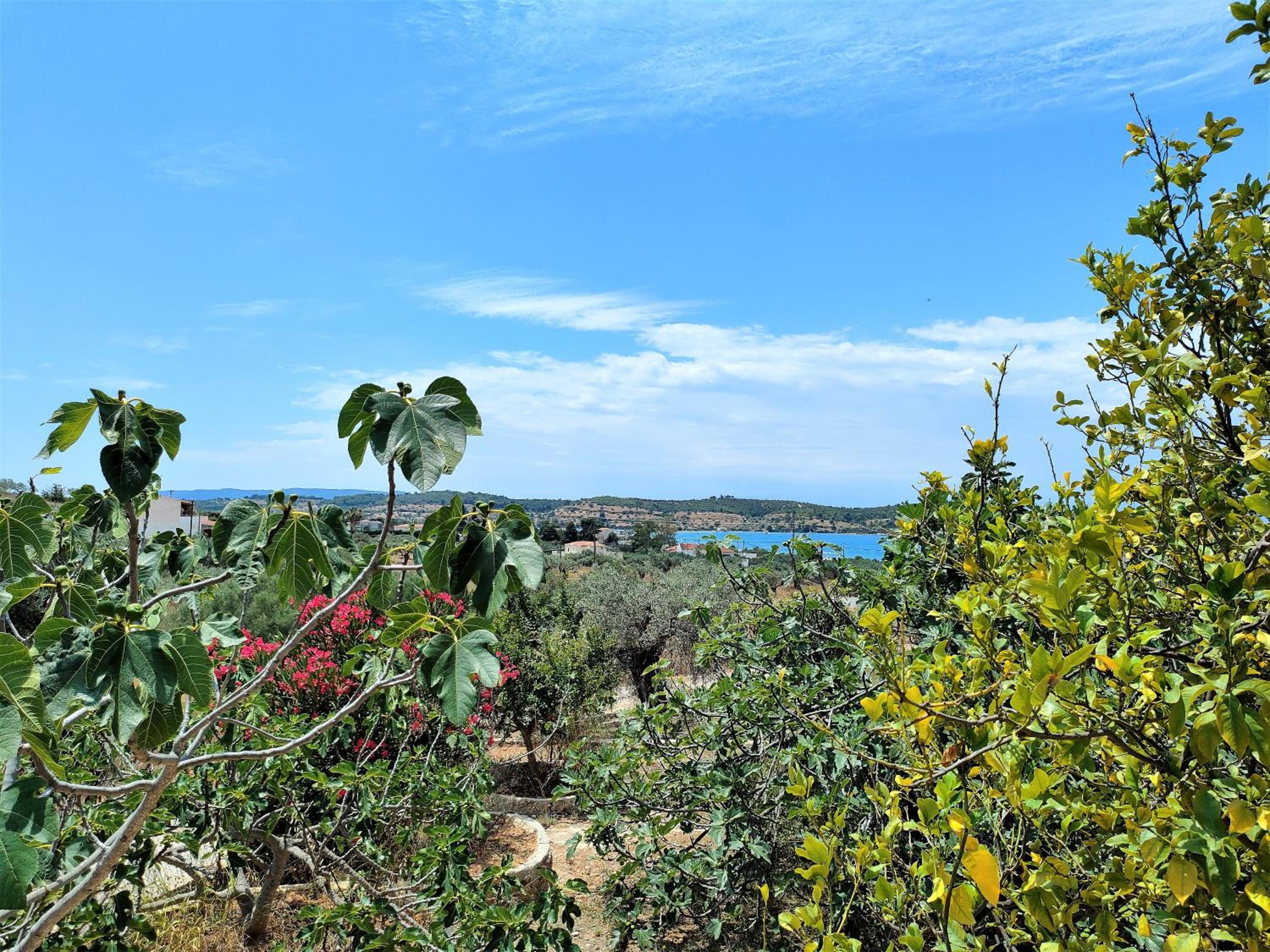 Casa Lagoo
