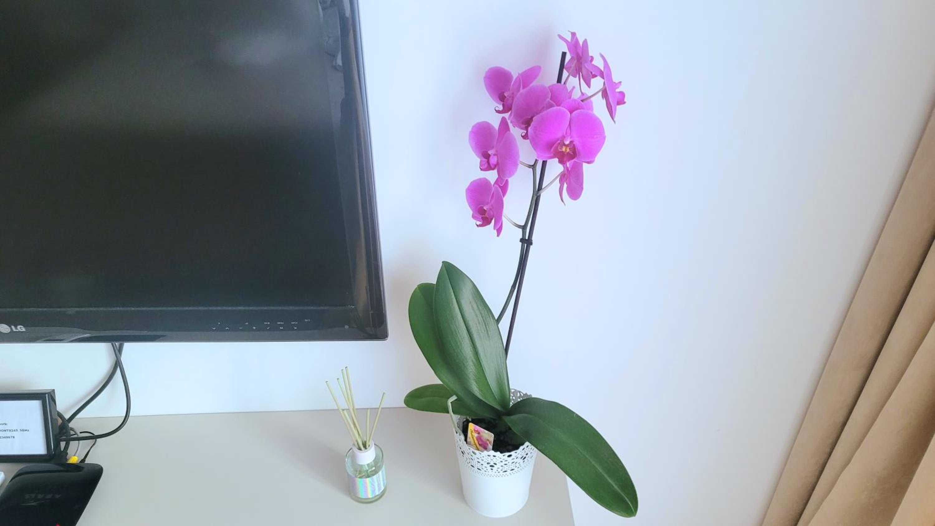 Studio apartment Lora Lux - Bulevar