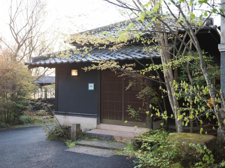 Nihon-no-Ashitaba
