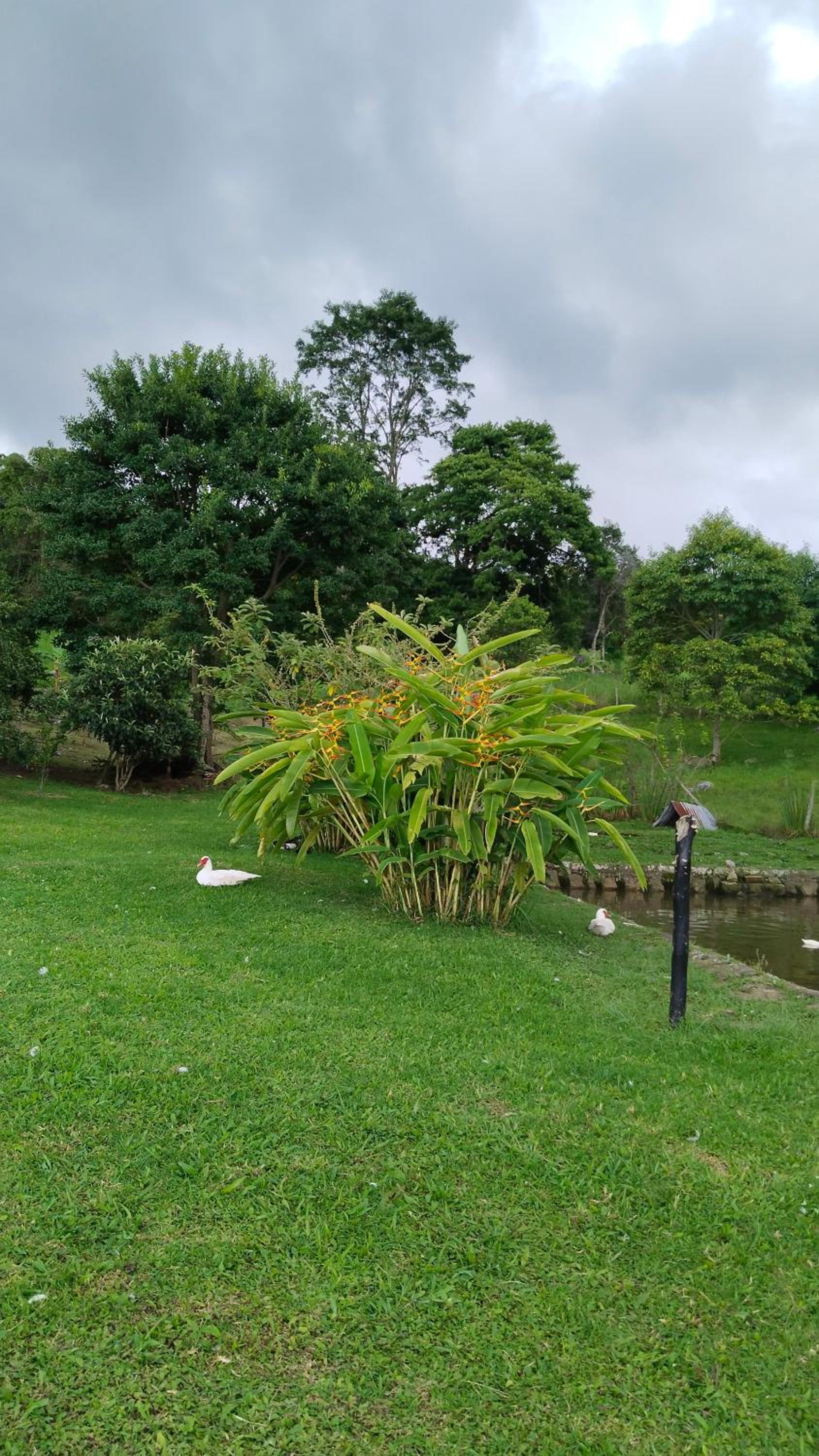 Casa en el aire, Finca el Paraíso