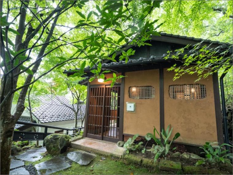 Nihon-no-Ashitaba