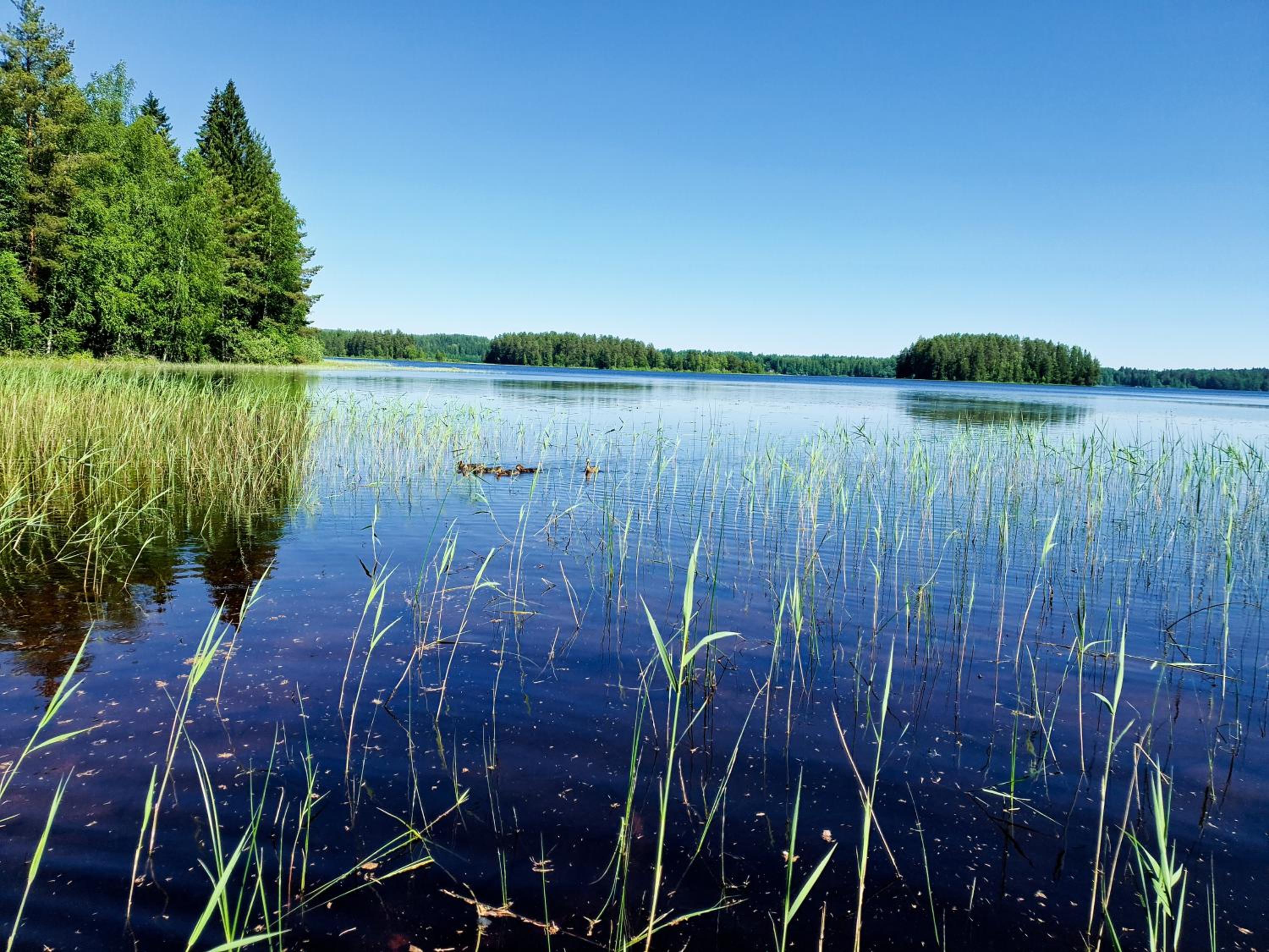 Ilmastoitu huvila ja rantasauna