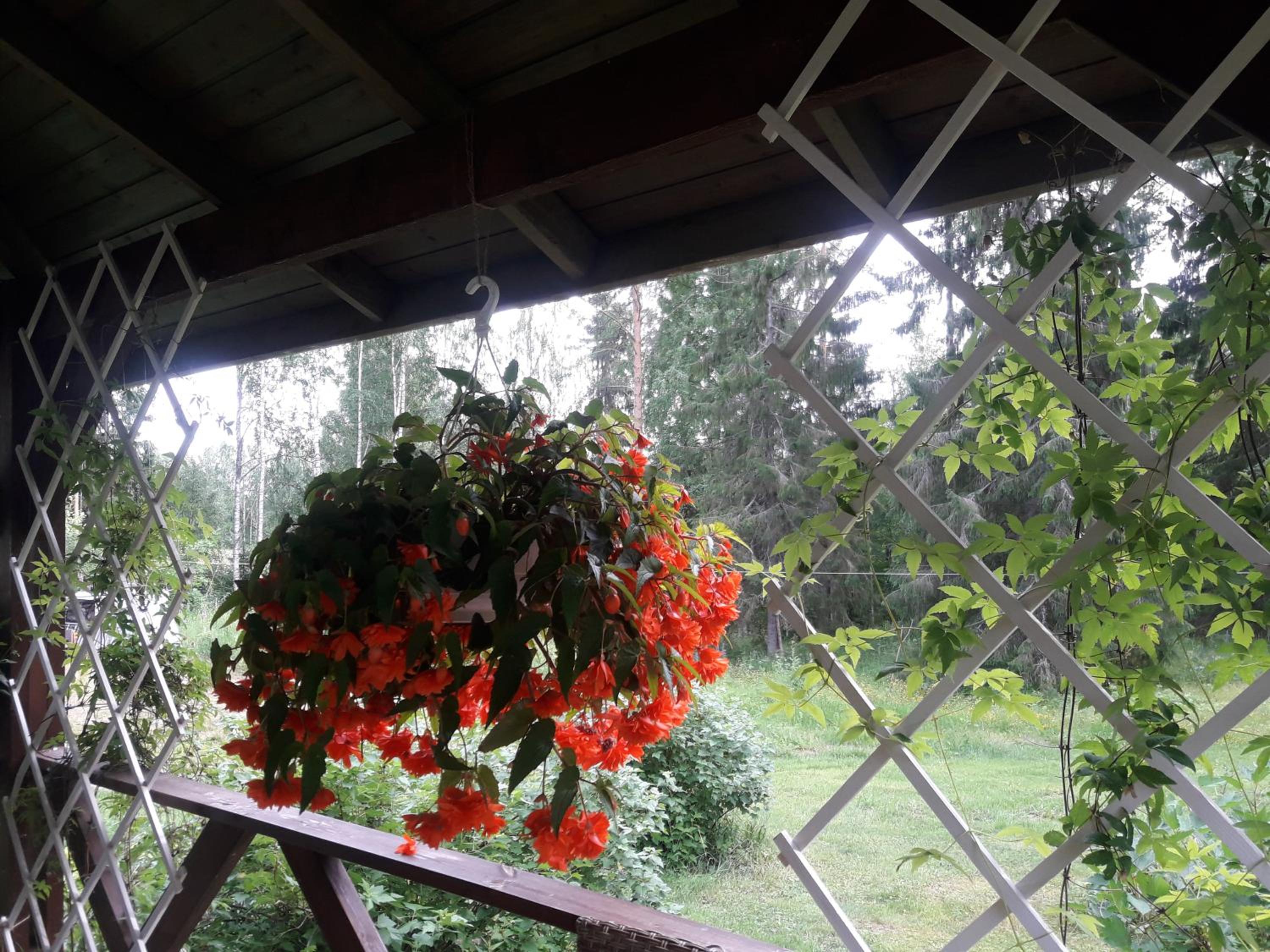 Ilmastoitu huvila ja rantasauna