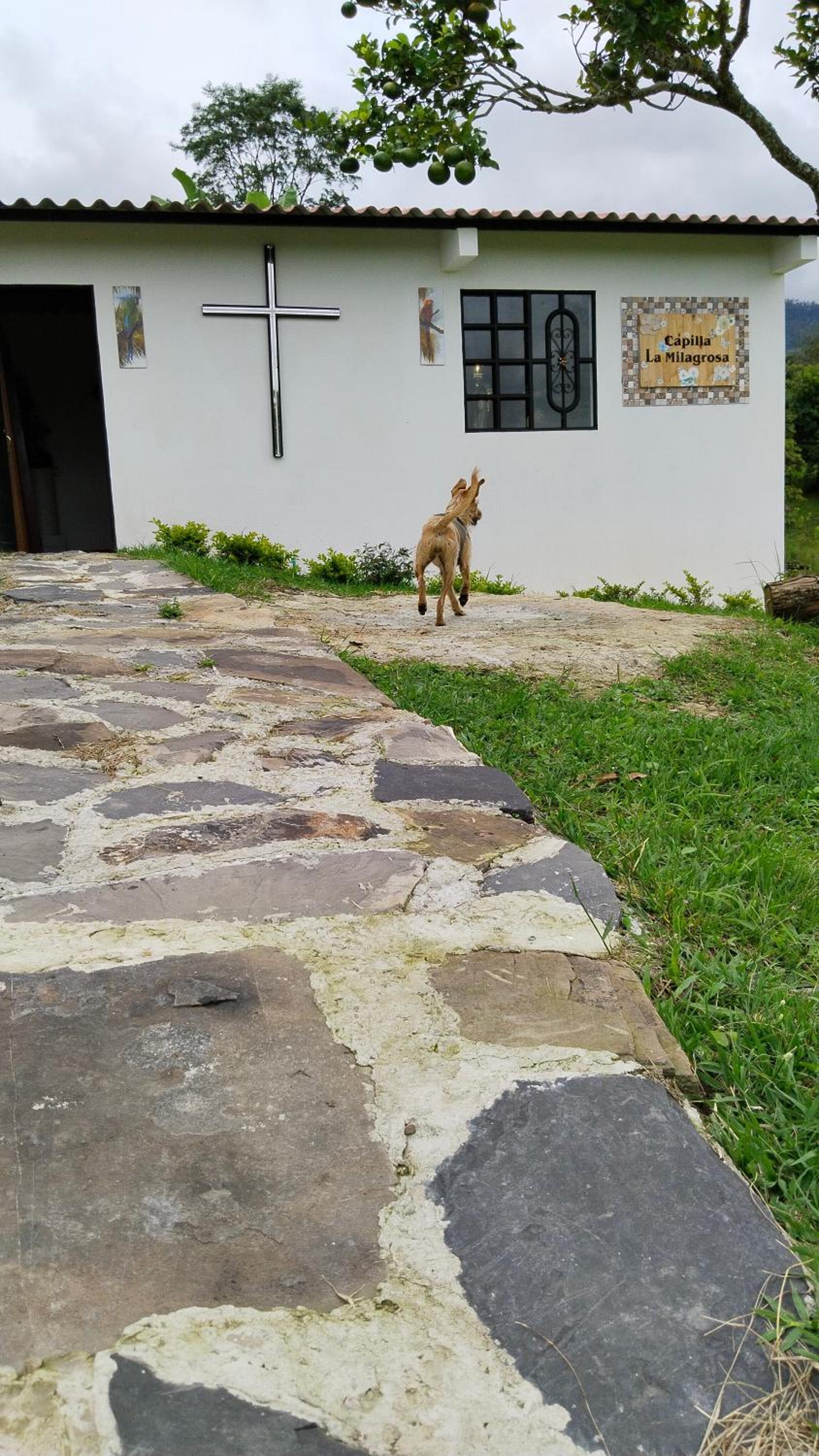 Casa en el aire, Finca el Paraíso