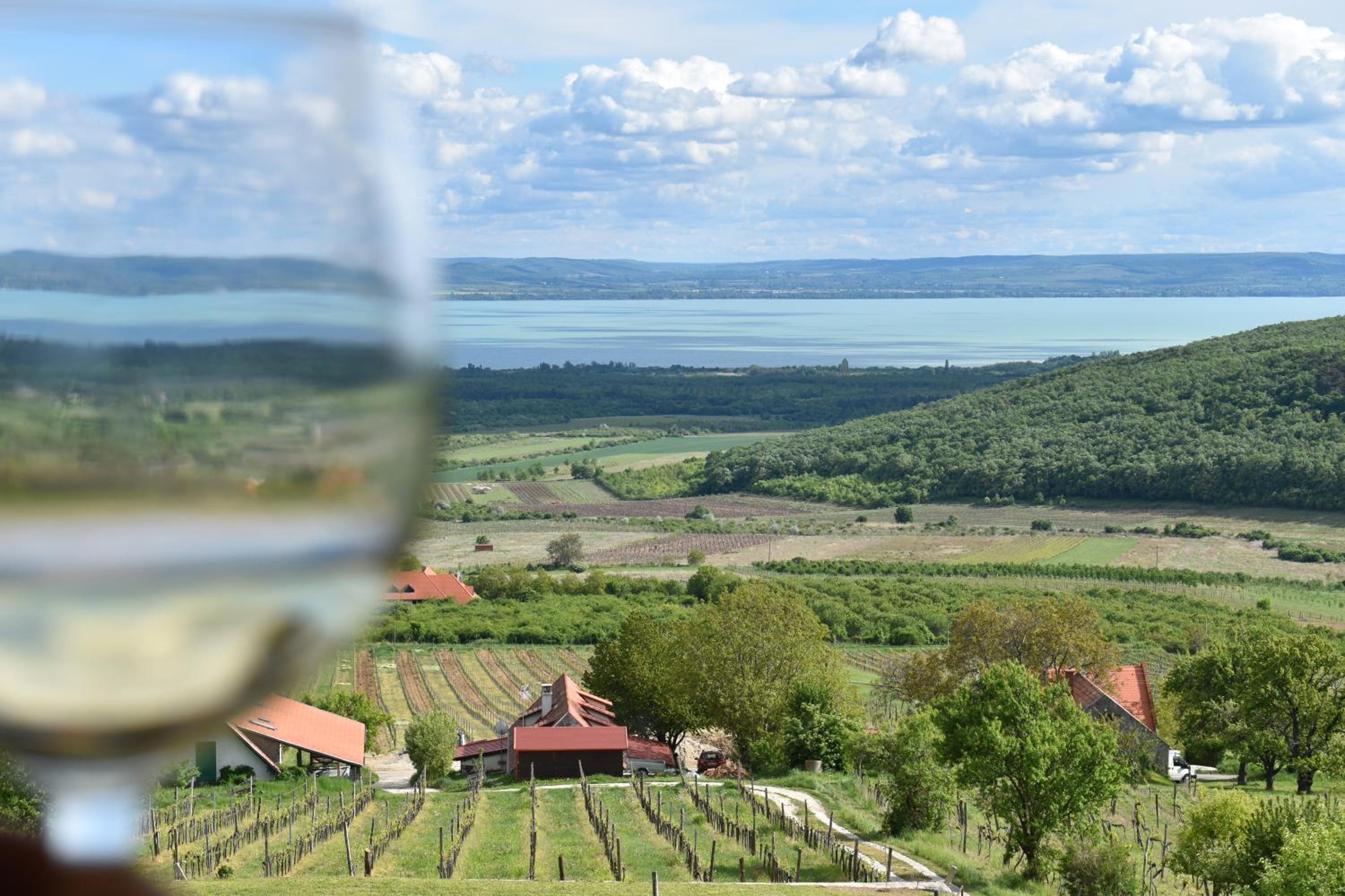 Panoráma Borbirtok