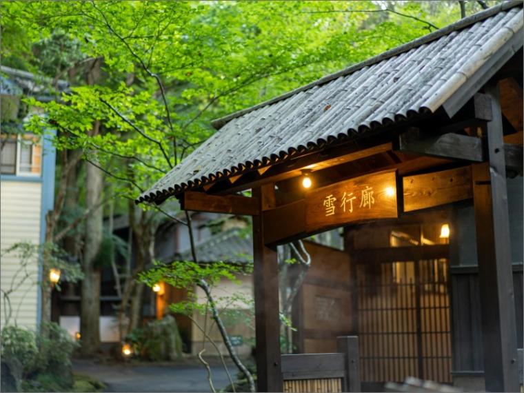 Nihon-no-Ashitaba