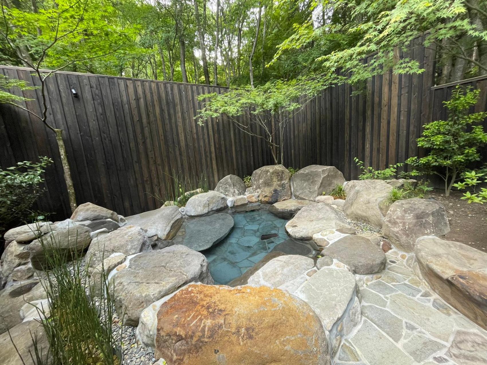 Nihon-no-Ashitaba