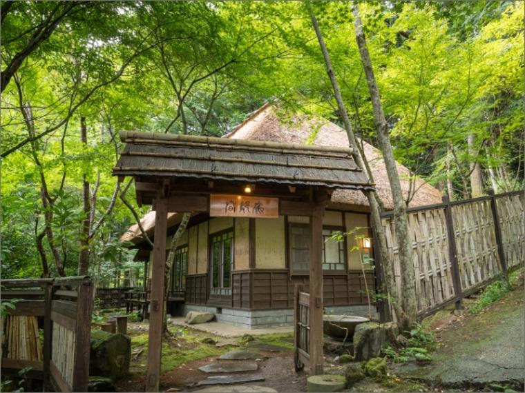 Nihon-no-Ashitaba