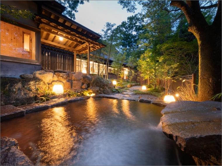 Nihon-no-Ashitaba