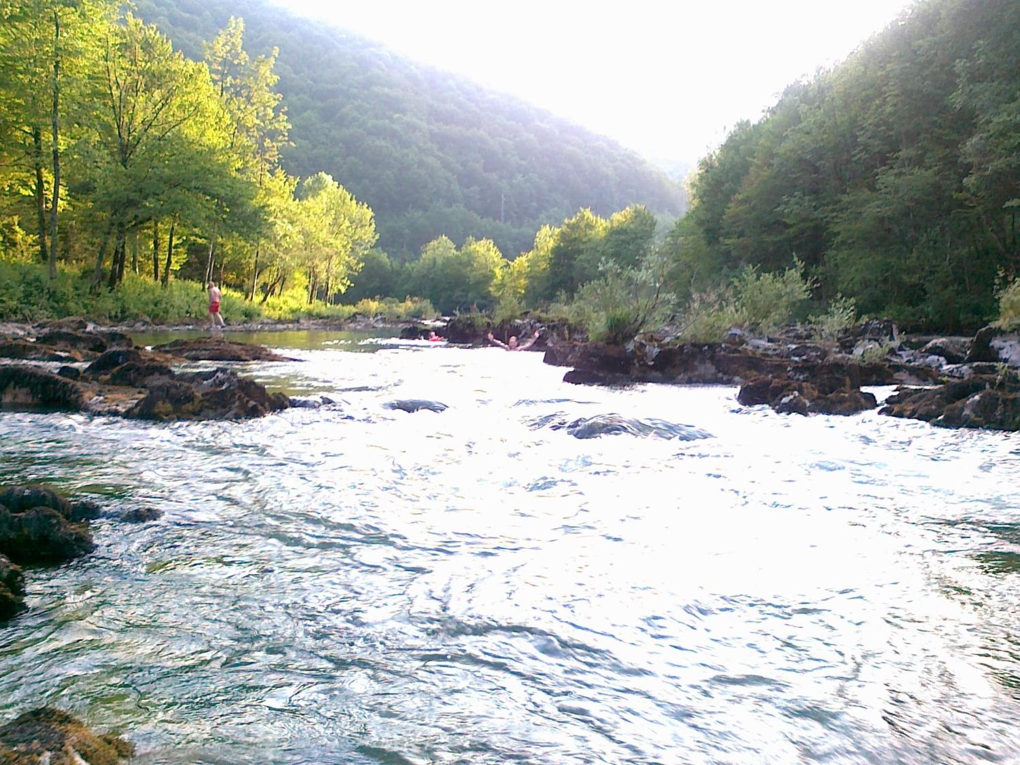 Photo 29