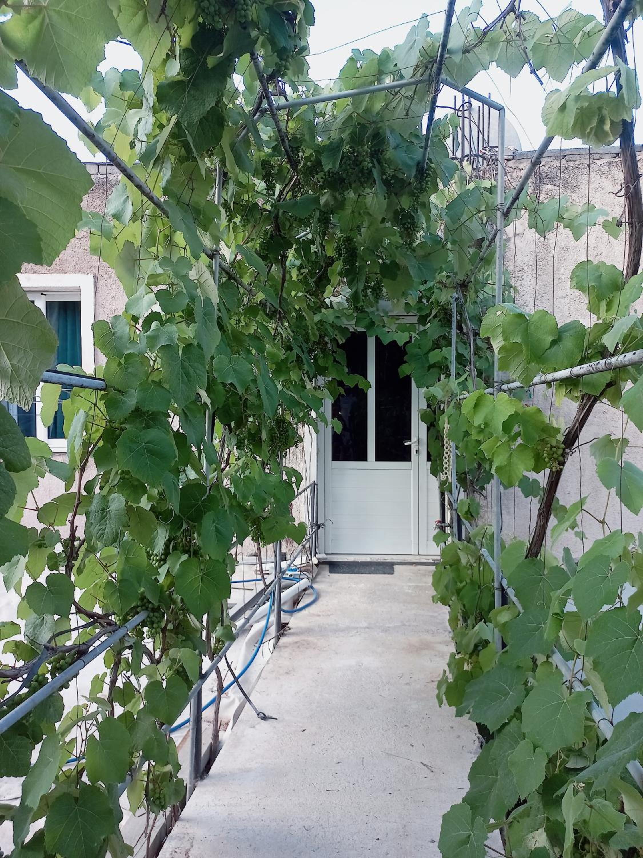 Sotiri Rooms
