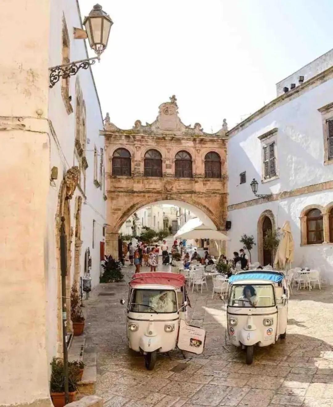 Casa Mirabilis 44
