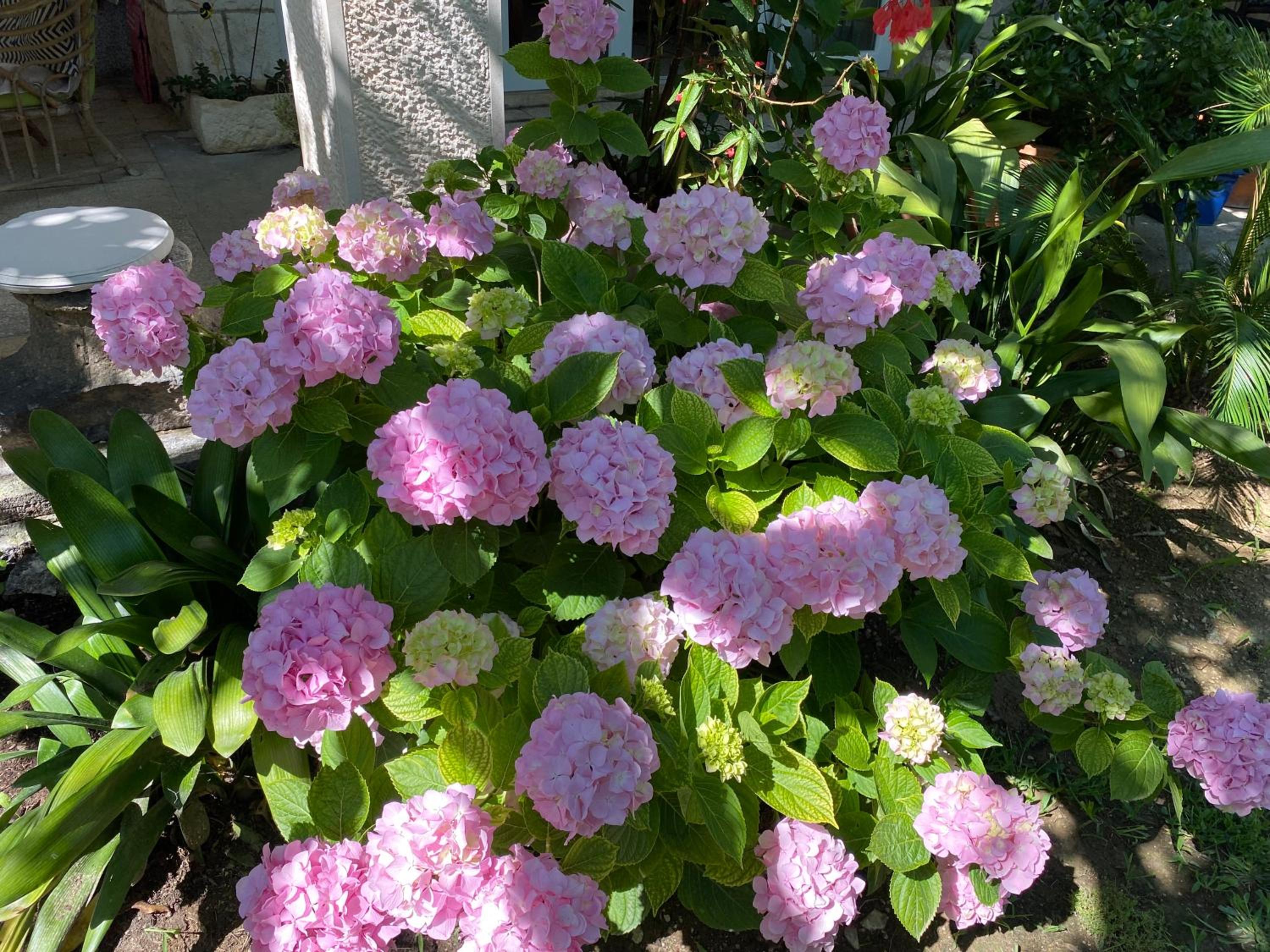 Photo 50